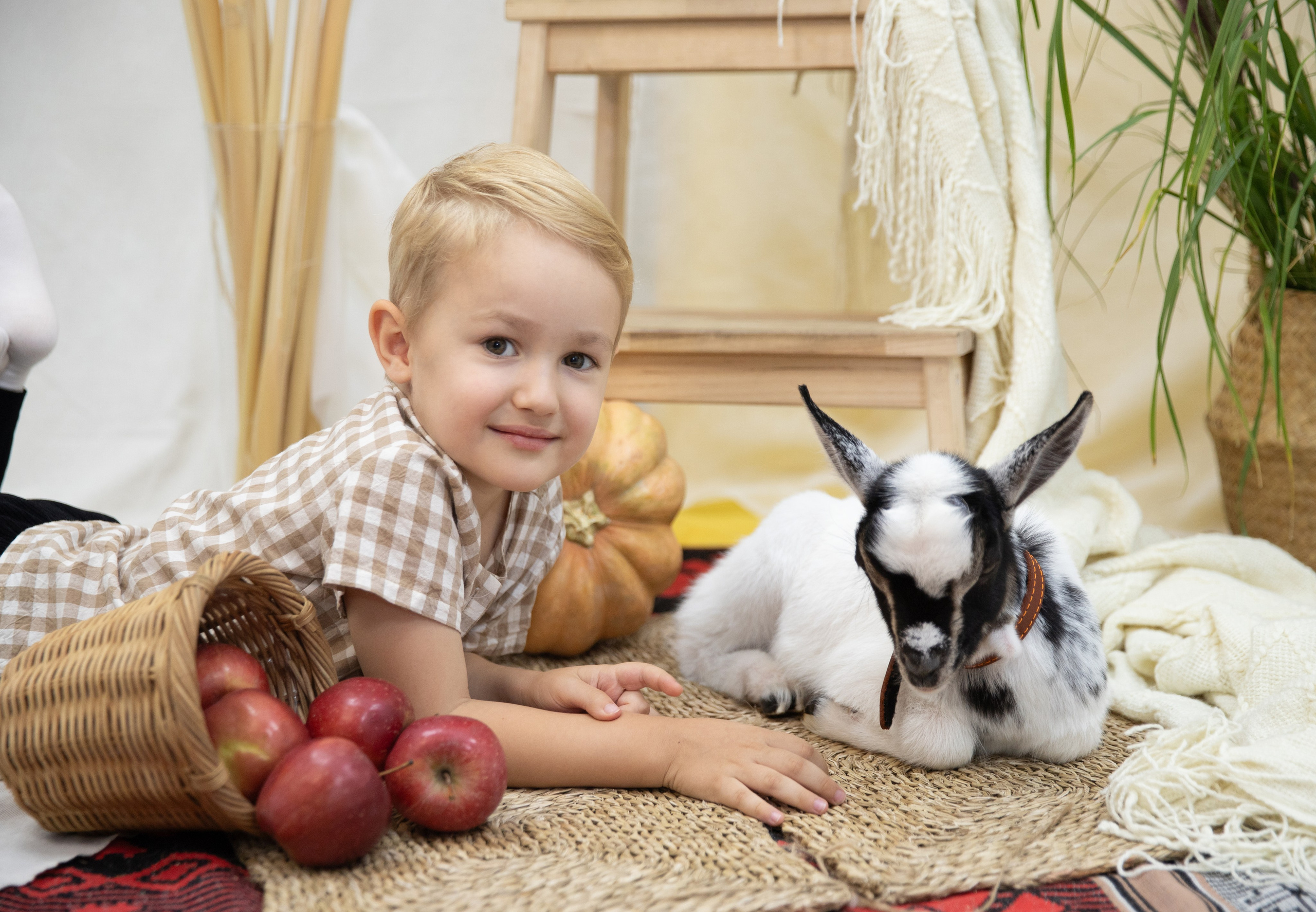 Осень Тыквы. Лучший фотограф Краснодара (по версии моей мамы)