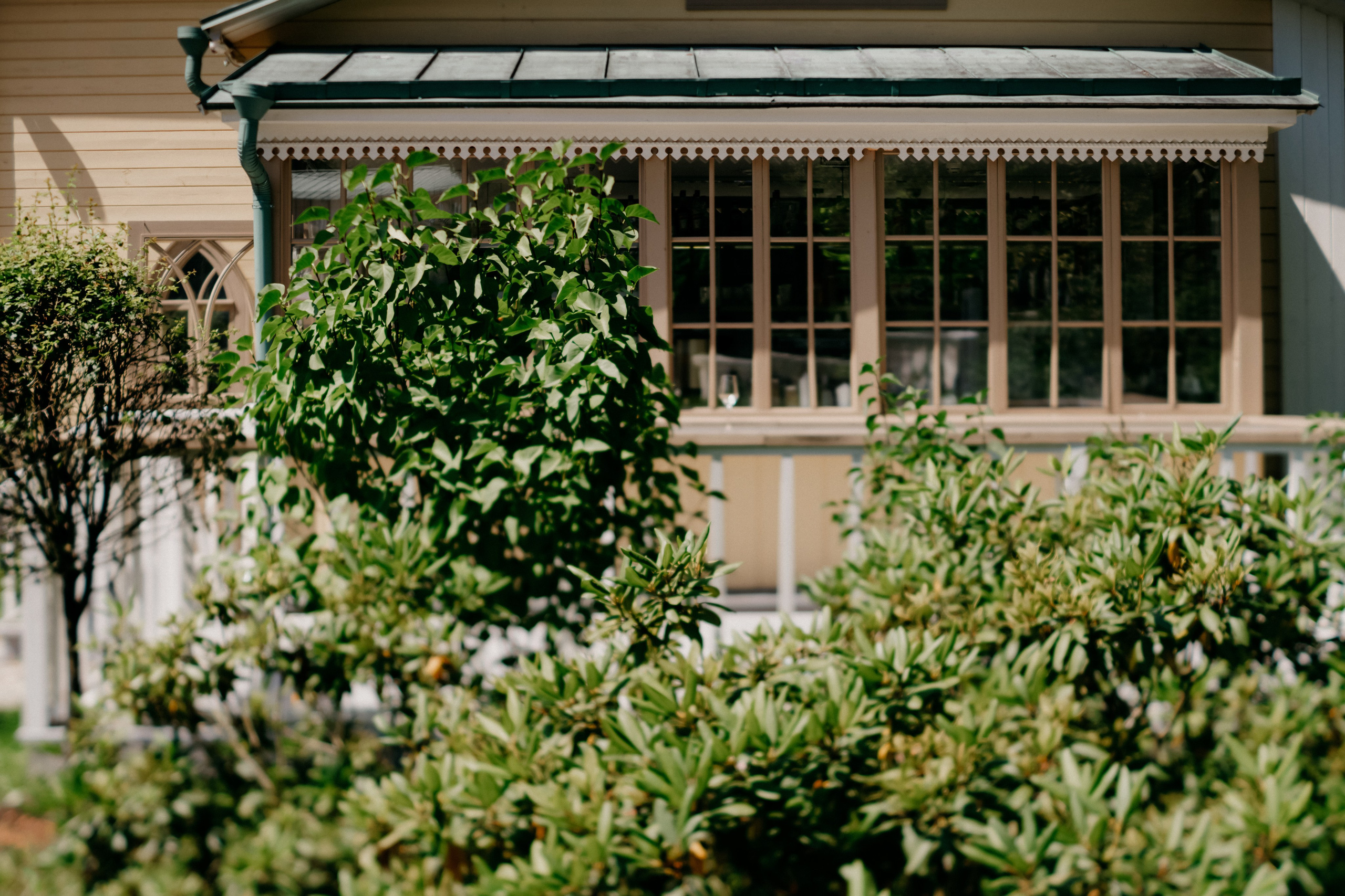 Фестиваль роз. Фотограф в Москве Дмитрий Рогов