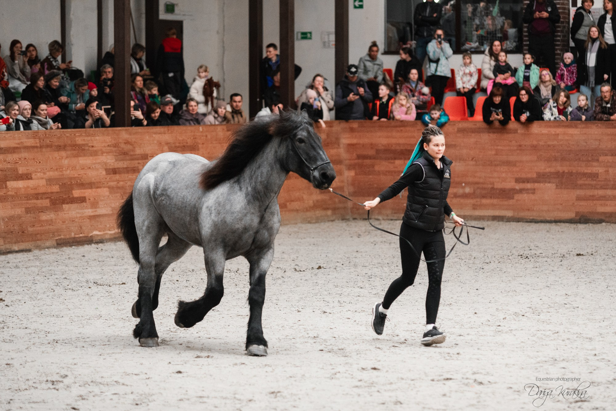 8-я международная выставка Конная Россия. Конный фотограф Куракина Дарья • Фотосессии с лошадьми