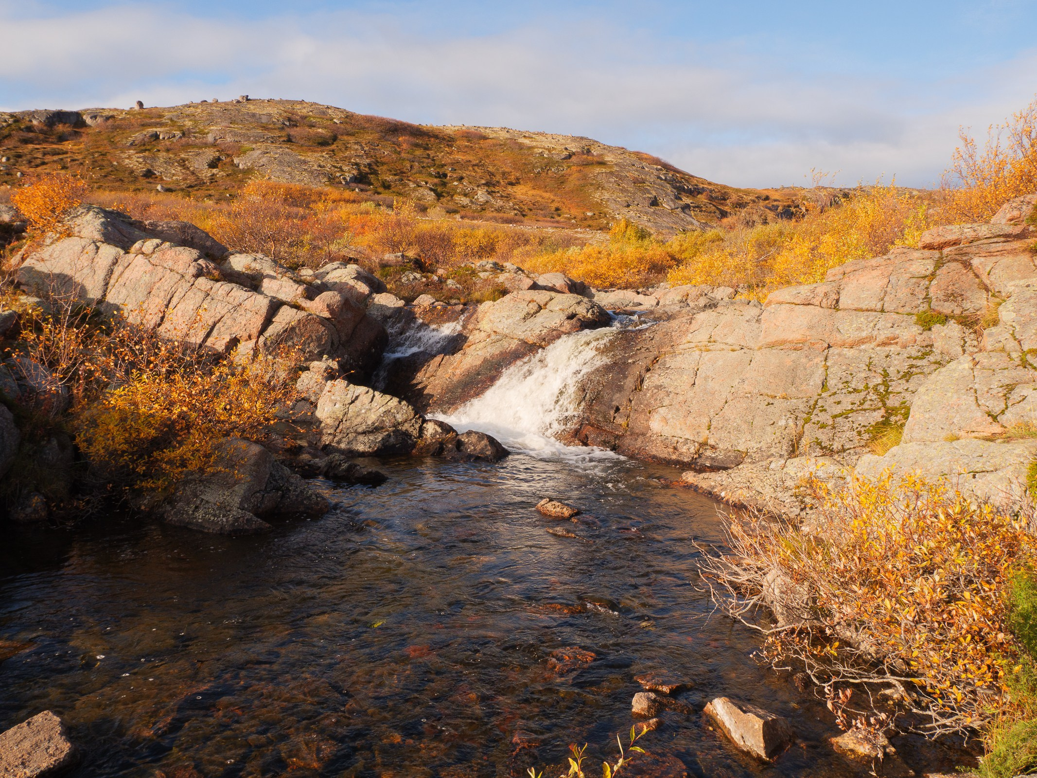 териберка туры цены