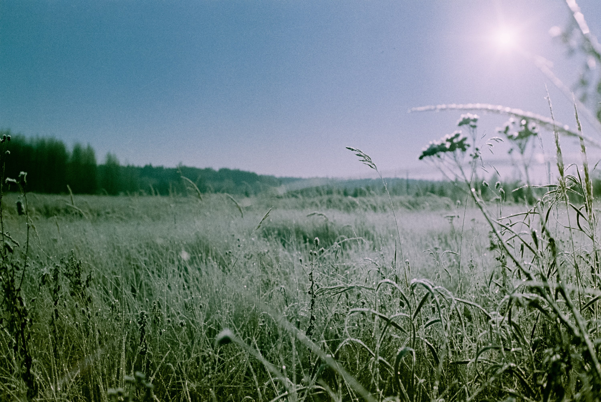 Minolta Hi-Matic 7sII / Kodak Color 200 (просрочка) / Лукино