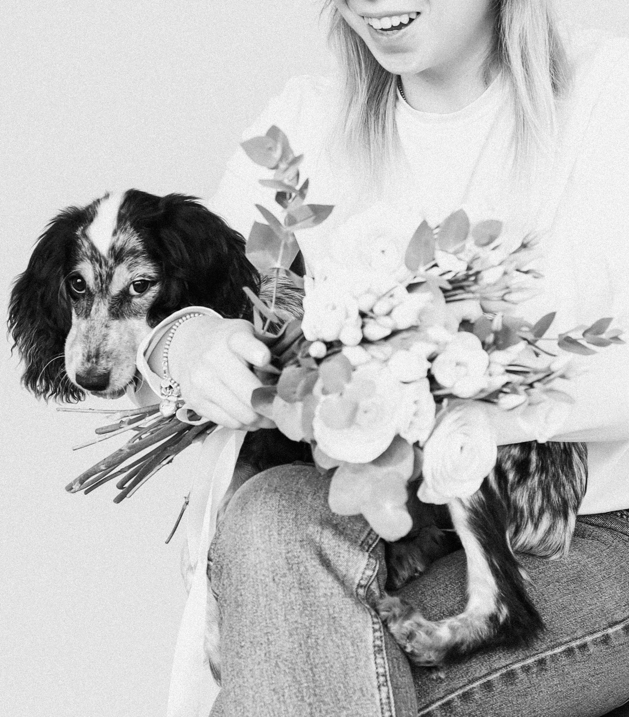 С хвостиками. Портретный фотограф в Москве. Фотосессии с собаками