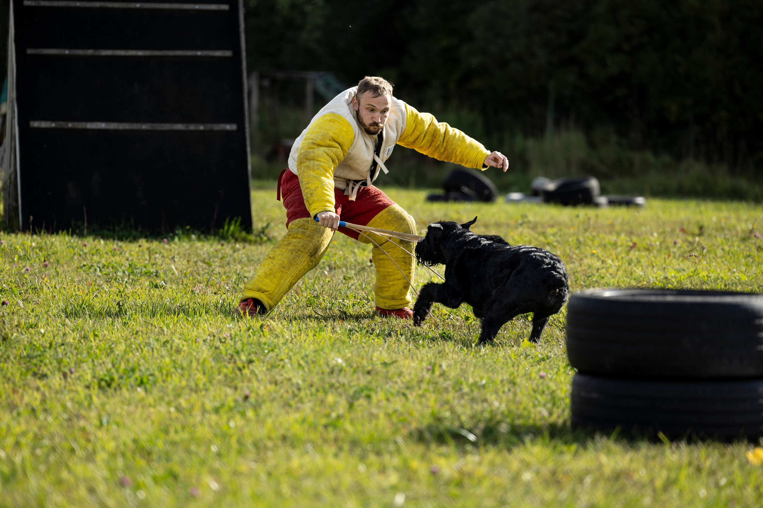 Испытания по Мондьорингу г. Пушкин. Фотограф-анималист Анна Маринич
