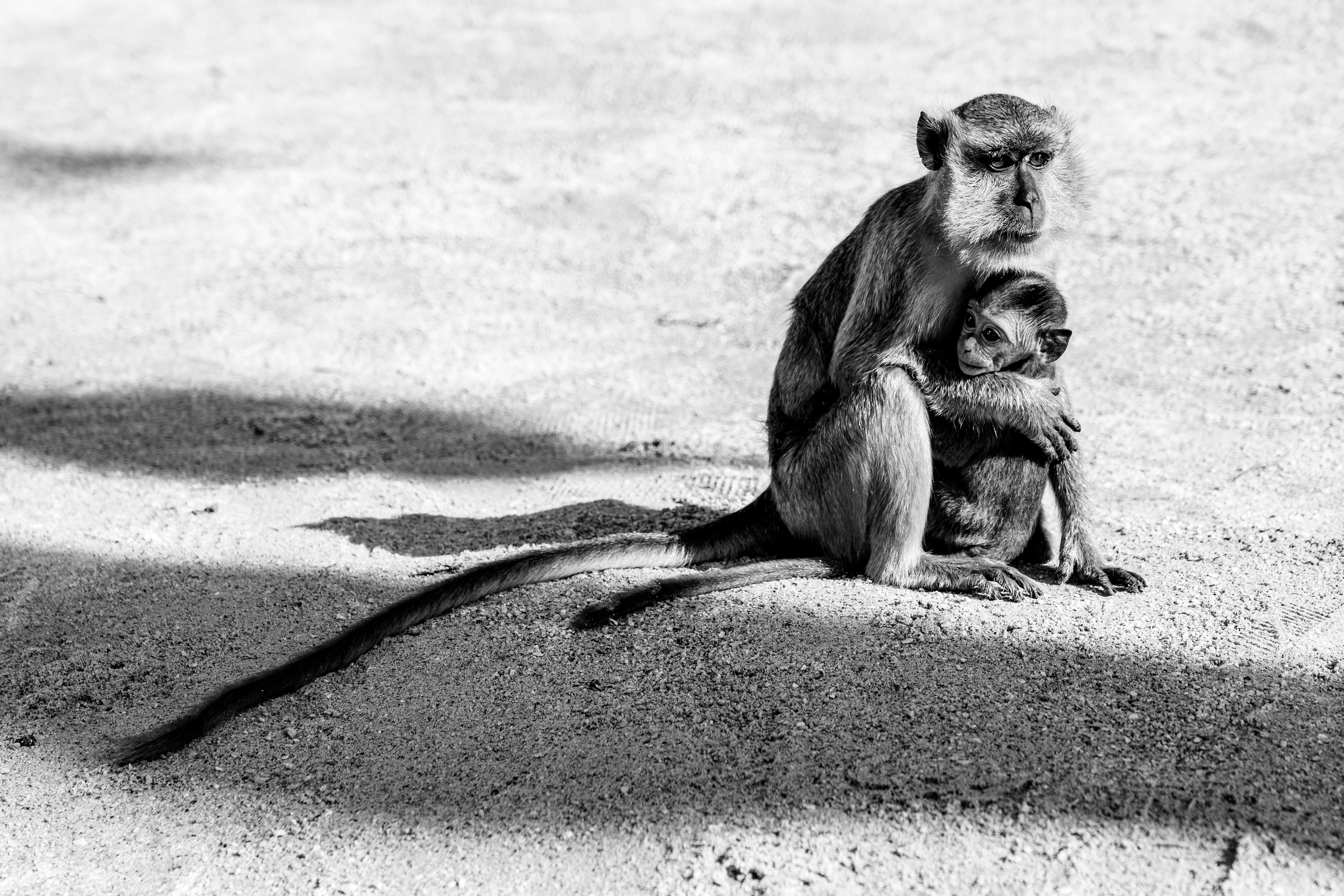 Сингапур и Малайзия. Репортажный фотограф в Москве Легкая Софья