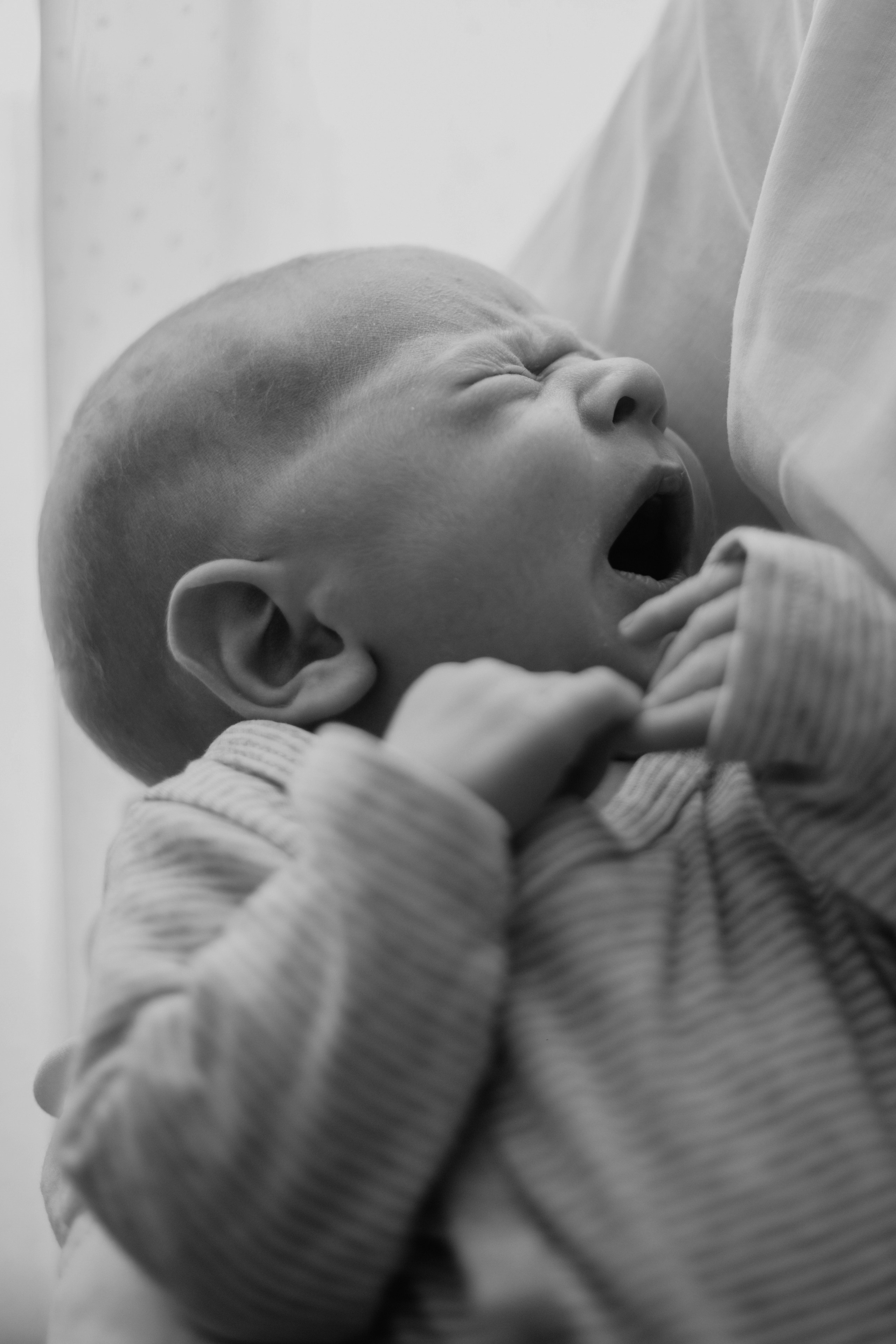 Саша Настя София и Паша. Семейный фотограф Москва