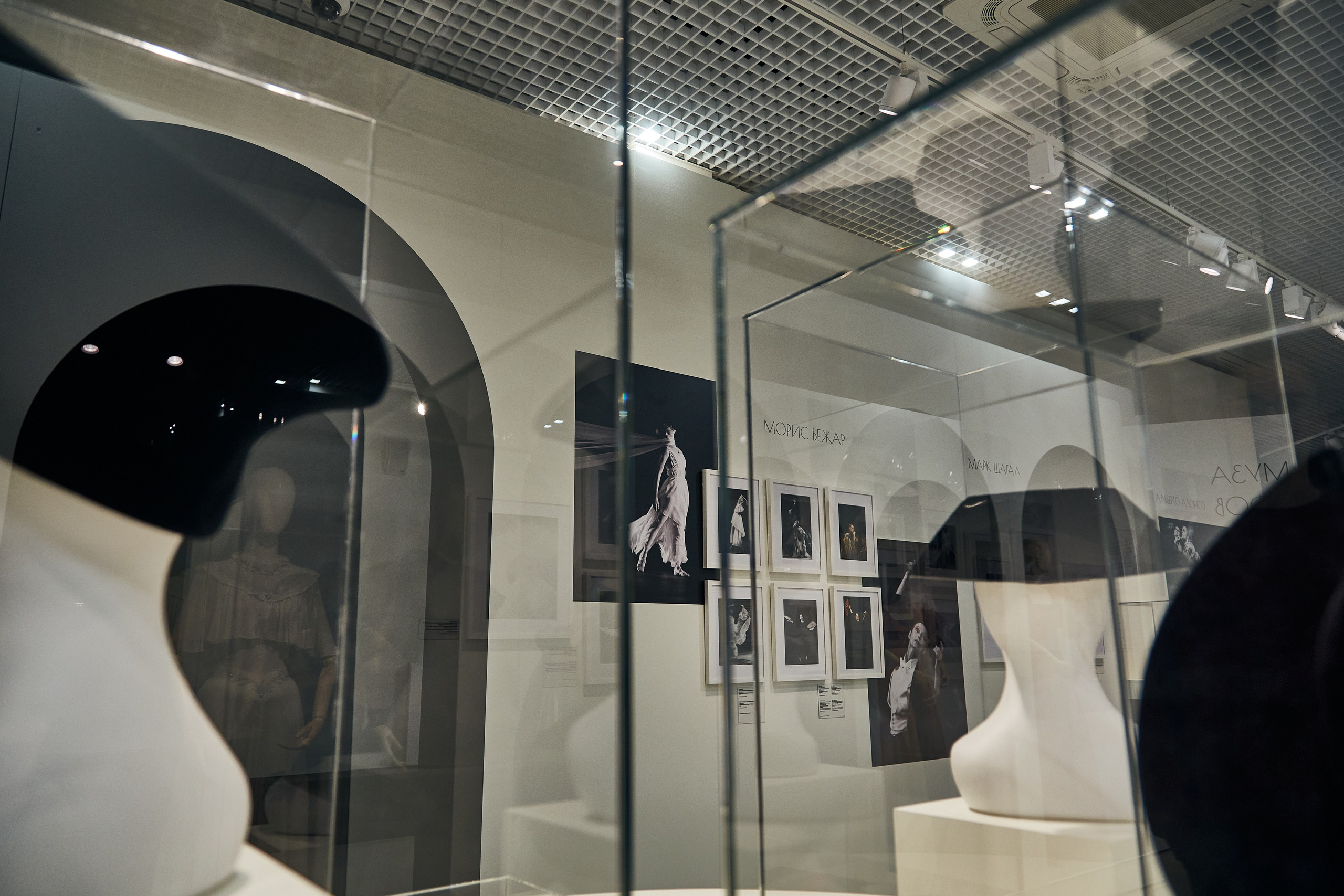 Выставка «Майя Плисецкая. Полюс магии». Даниил Гузиенко — репортажный фотограф в Туле