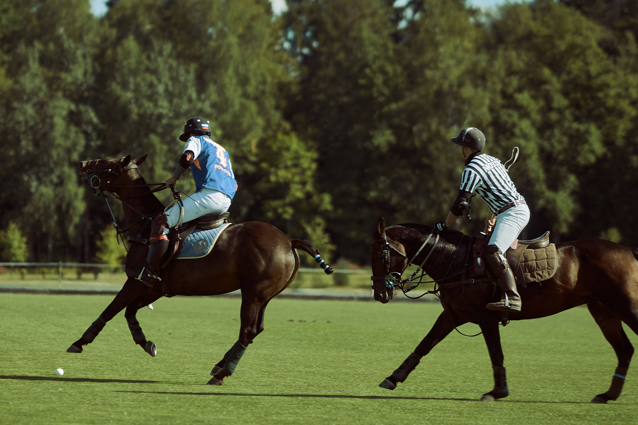 HORSE POLO. Фотограф Наталья Леонова