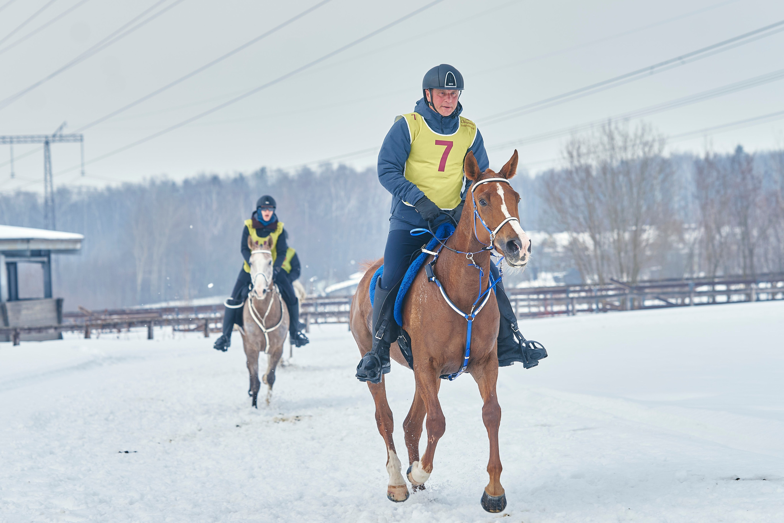 HORSE RACING. Фотограф Наталья Леонова