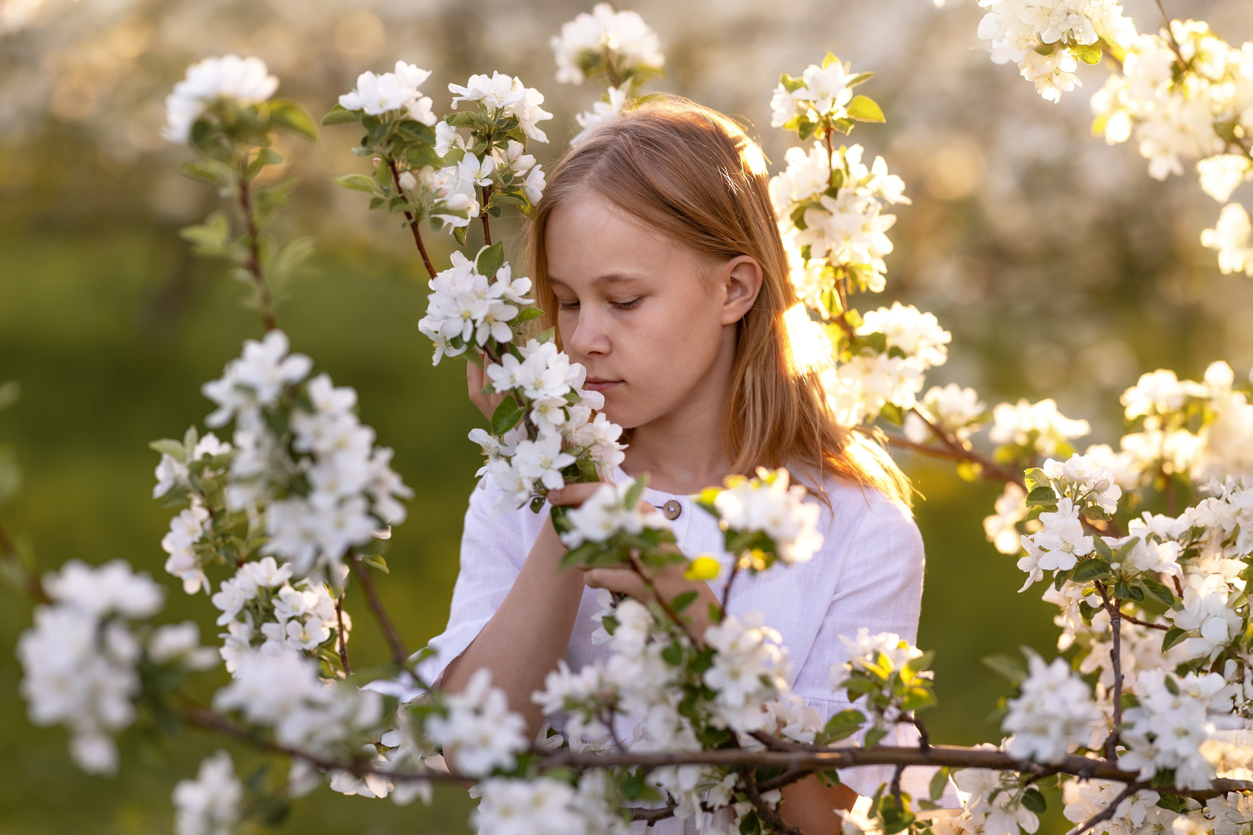Яблоневый сад. Семейный и детский фотограф в Красноярске, Дивногорцева Светлана
