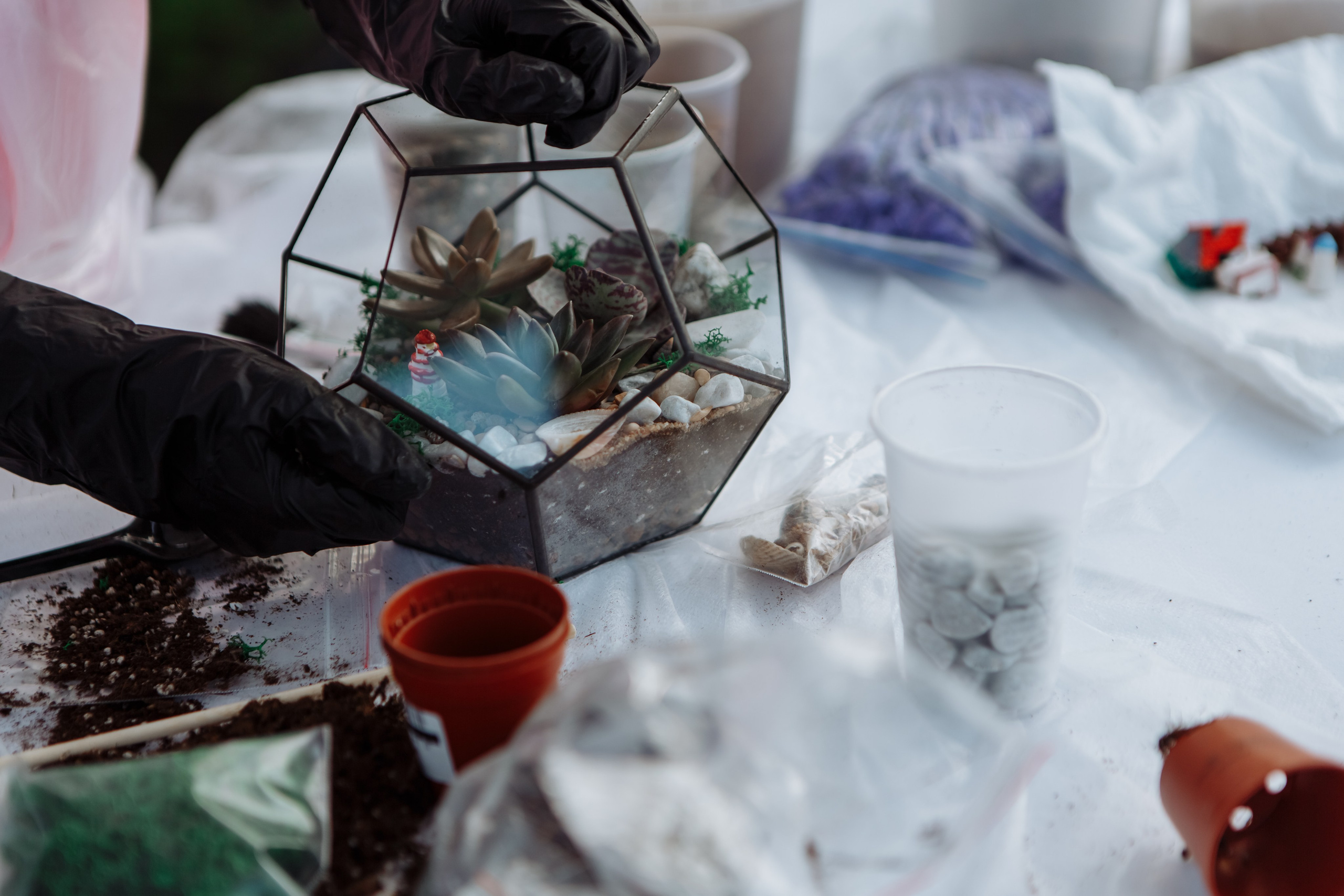 Лиза Виктор. Свадебный фотограф в Санкт-Петербурге