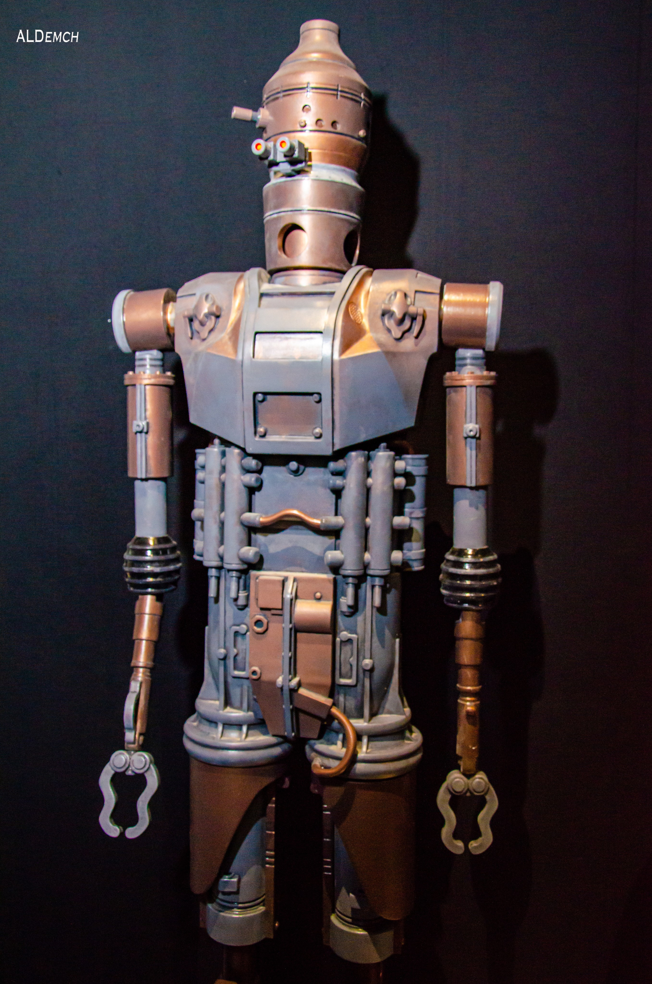 Фотосессия на ВДНХ косплей выставки по звёздным войнам