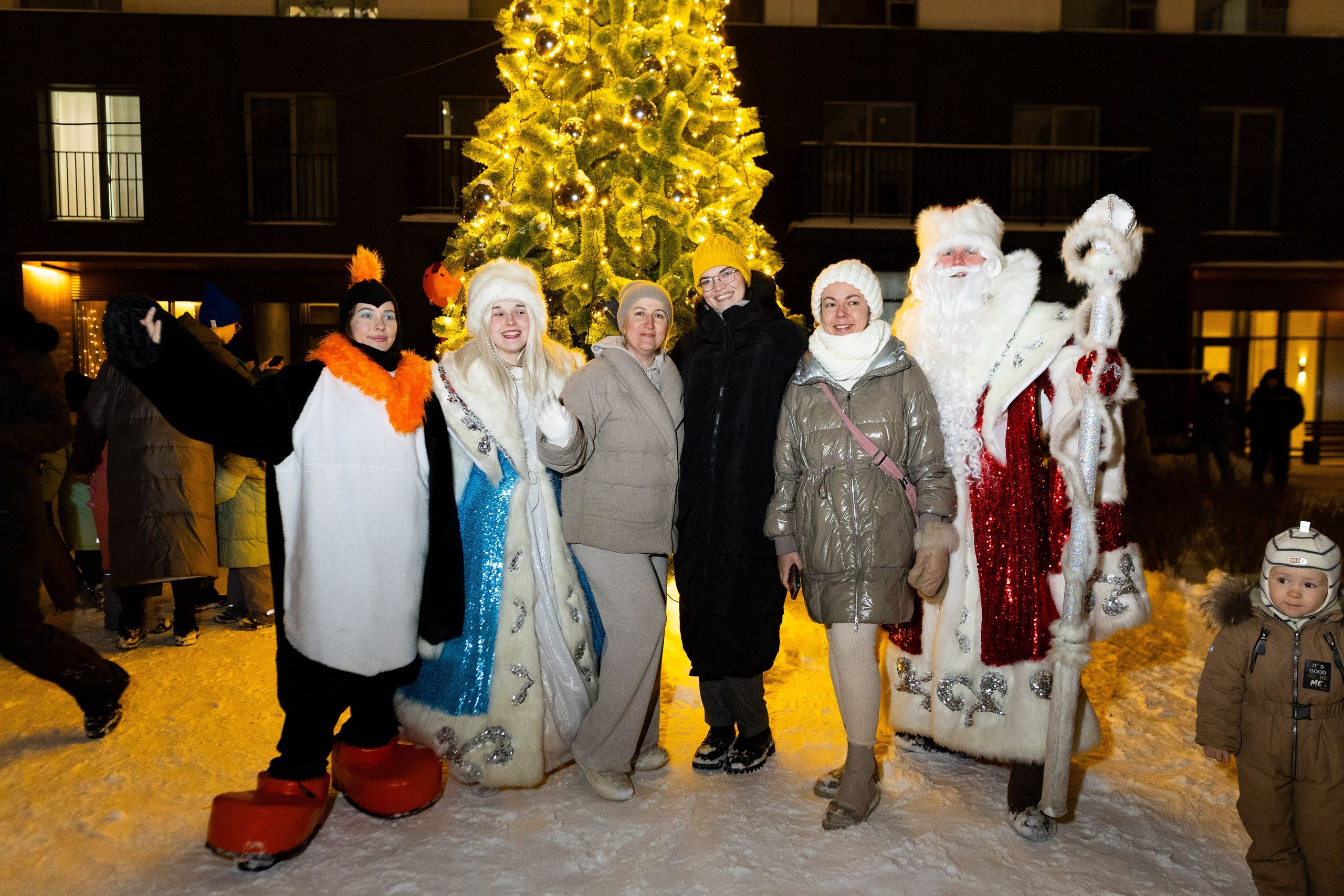 Елка у «Брусники» на Стачек. Фотограф Родион Нарудинов
