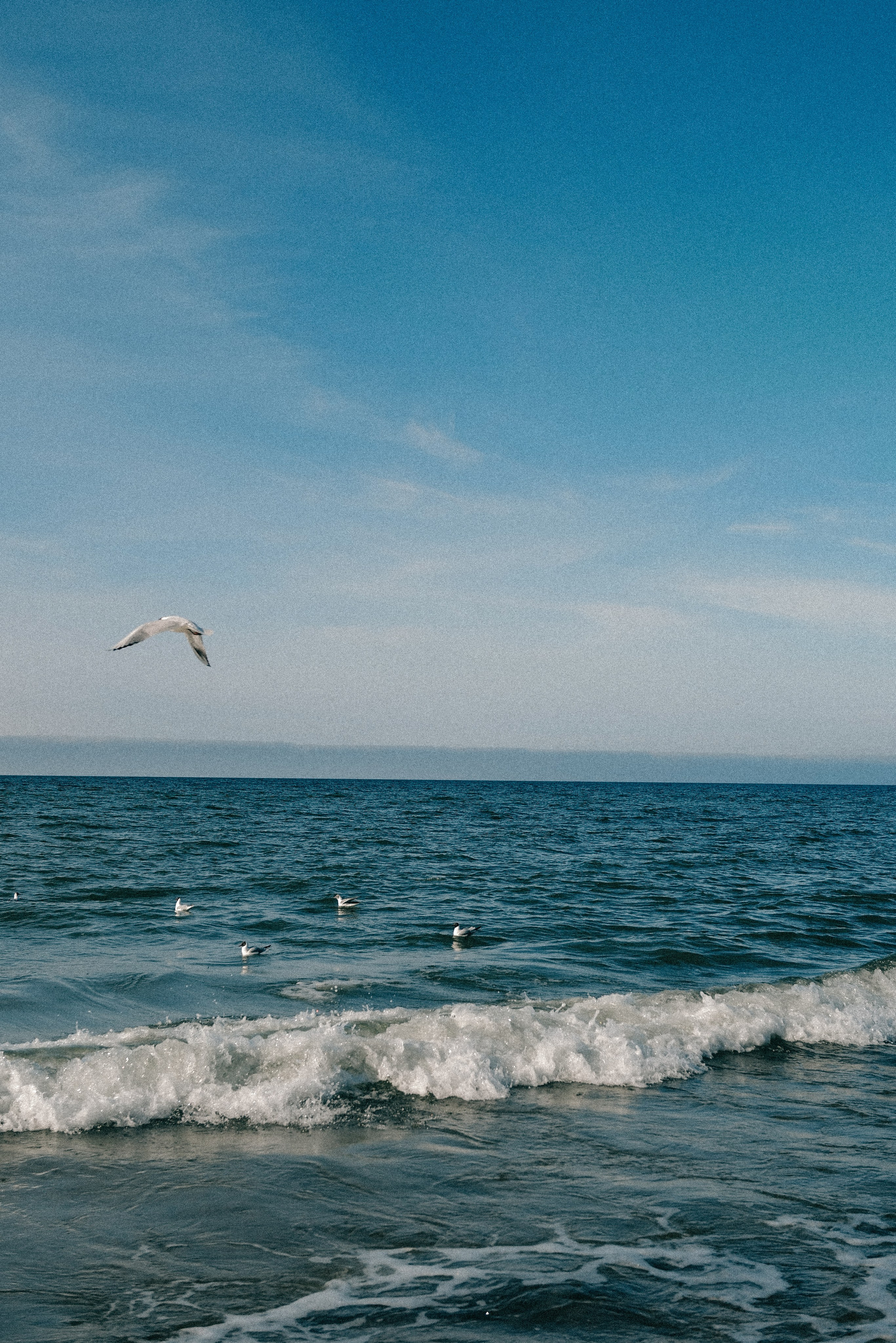 Zelenogradsk. Фотограф София Комкина