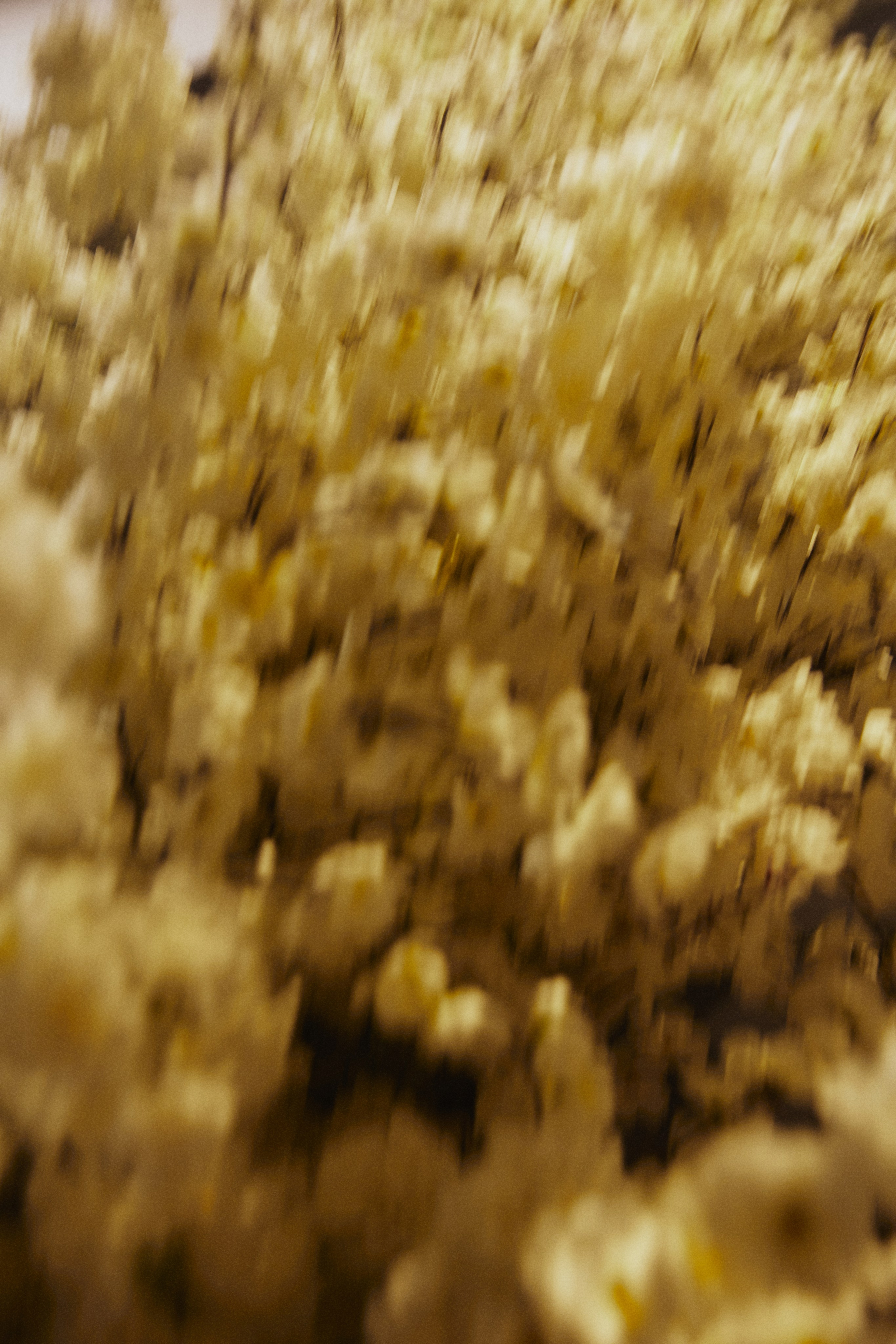 REFLECTIONS: A TRAIL OF FEELINGS. Дмитрий Мазуркевич: Профессиональный Репортажный Фотограф