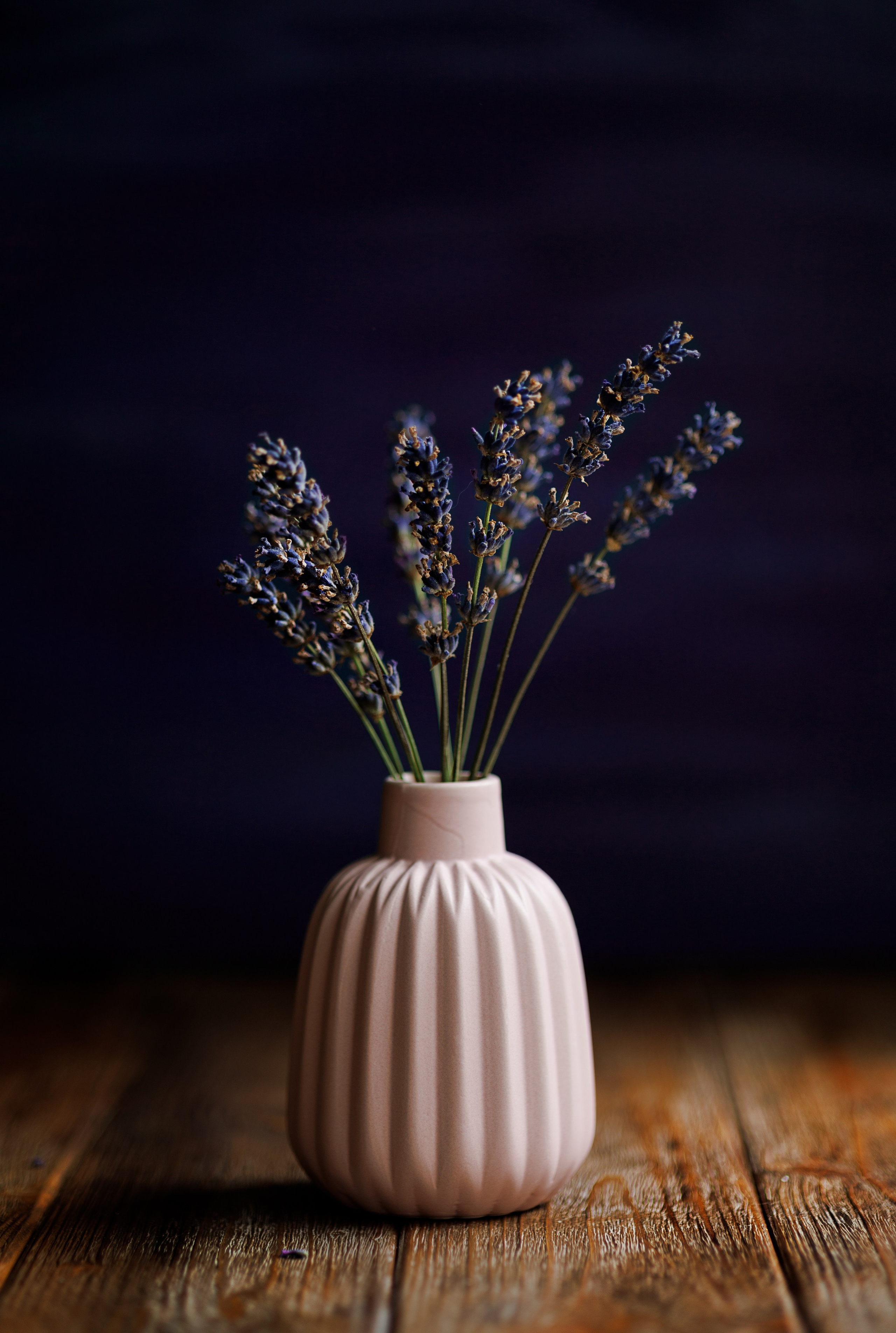 Фуд фото. Портретная и индивидуальная фотосъёмка в Граце и Тюмени