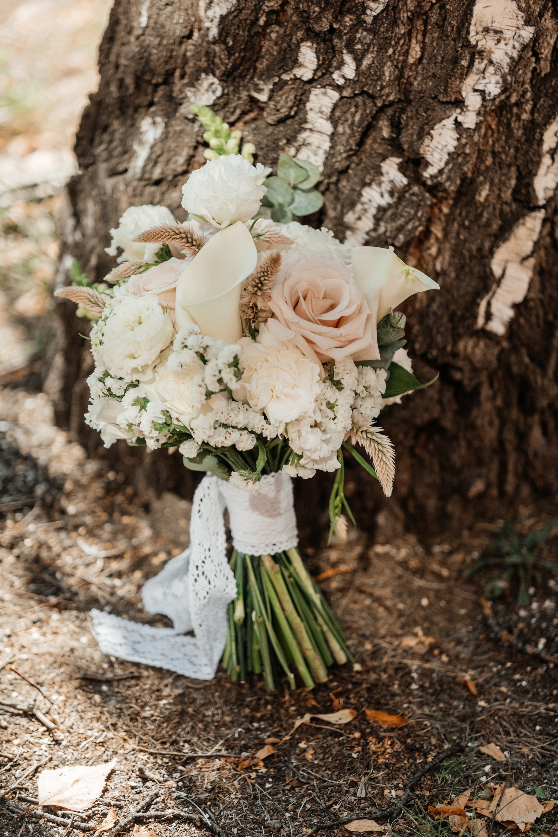 Виктория И Андрей. Gan media. Свадебные видео и фото в Барнауле. Антон Губанов