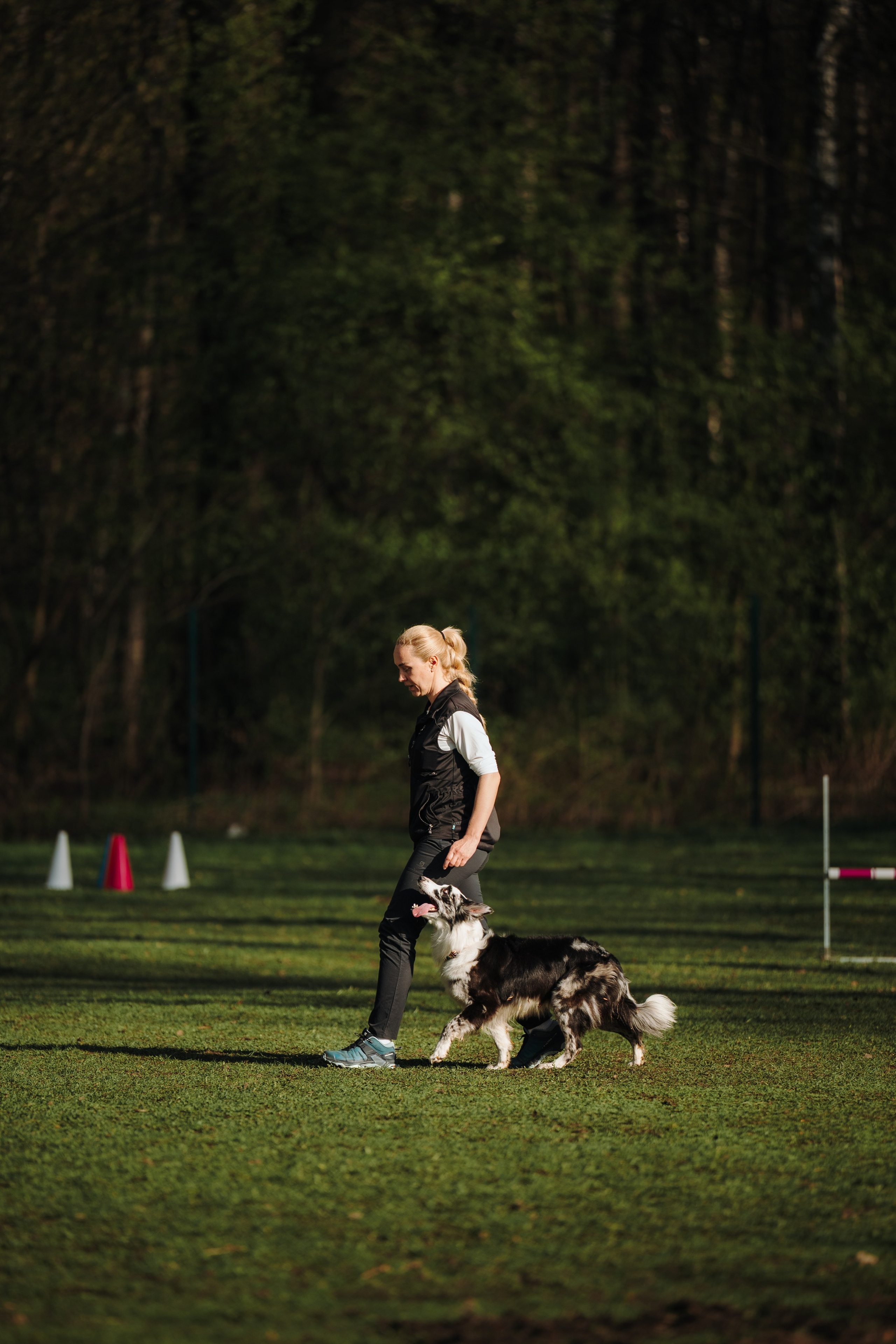 Обидиенс. Семейный фотограф анималист Ананьева Мария — Москва