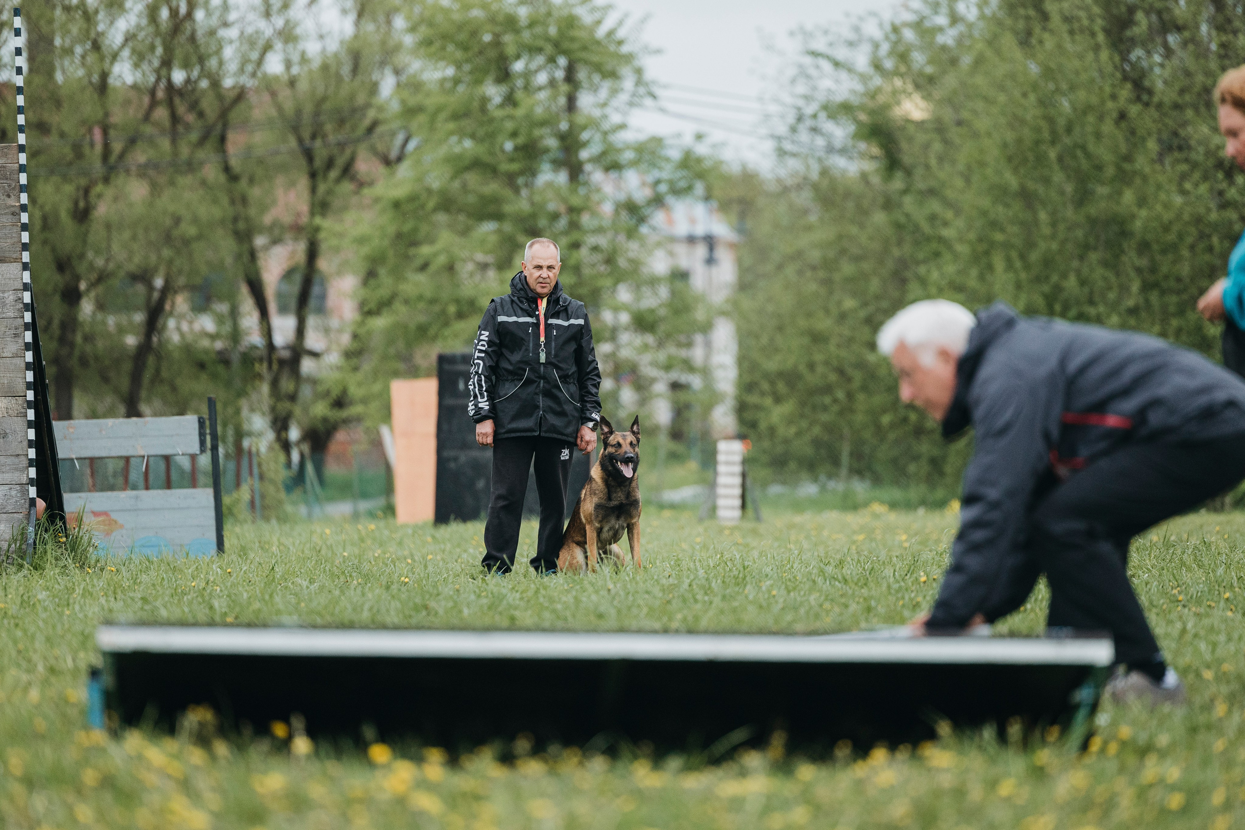 26.05.25 г. Пушкин квалификационные соревнования. Фотограф-анималист Анна Маринич