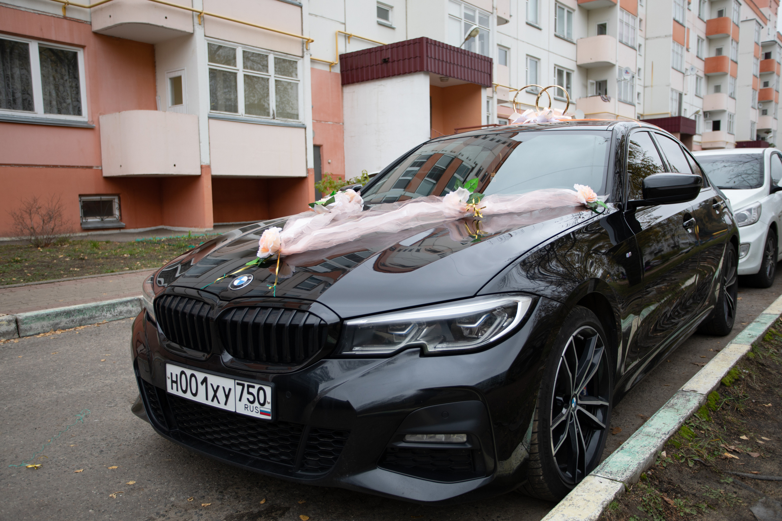 Свадьба Евгения и Алины фотосъёмка. Семейный и детский фотограф в Ногинске