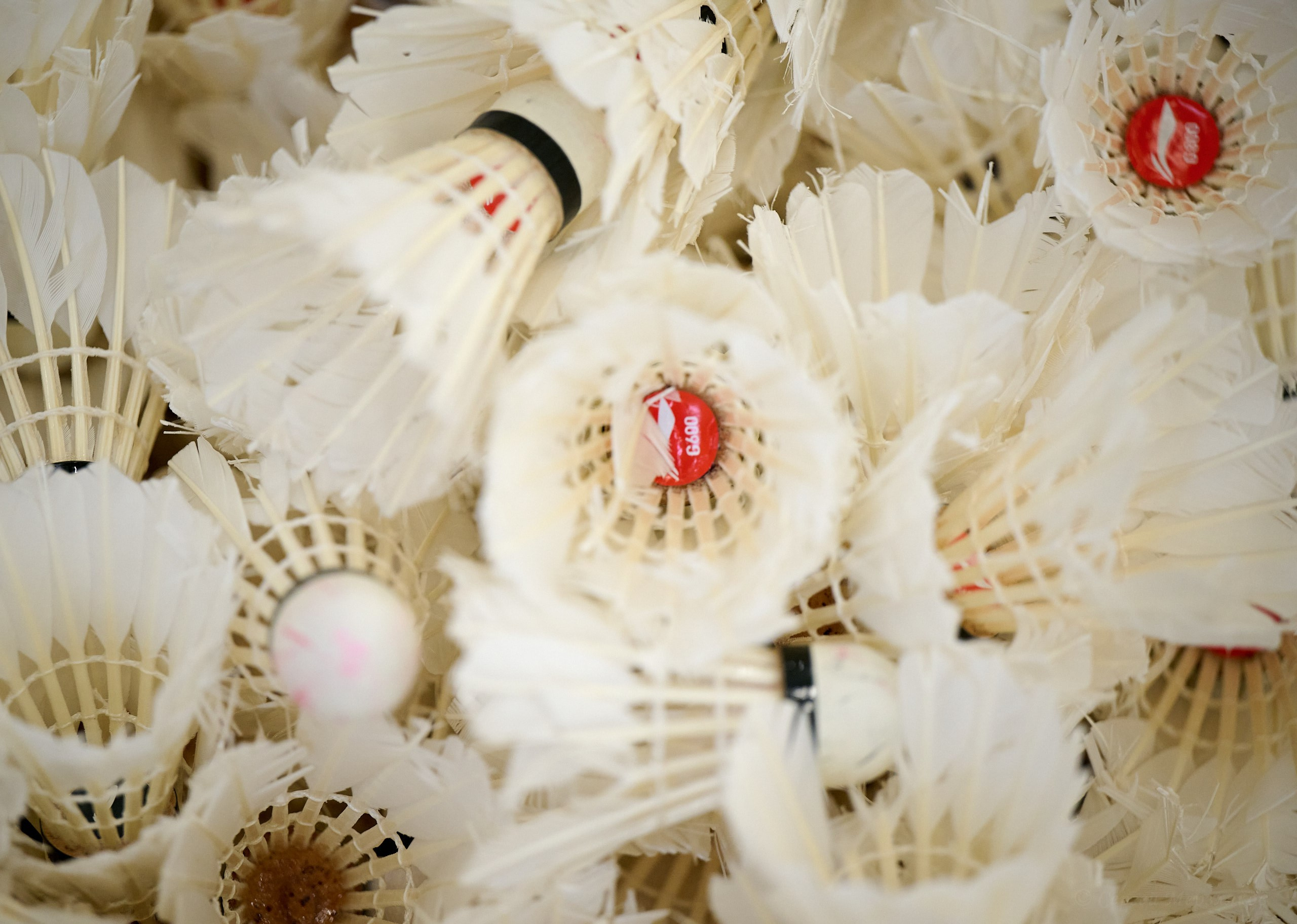 Бадминтон. Мастер-класс Любови Сухановой. Ижевск. 20.07.2024. Спортивный репортажный фотограф в Ижевске Сергей Мерзляков