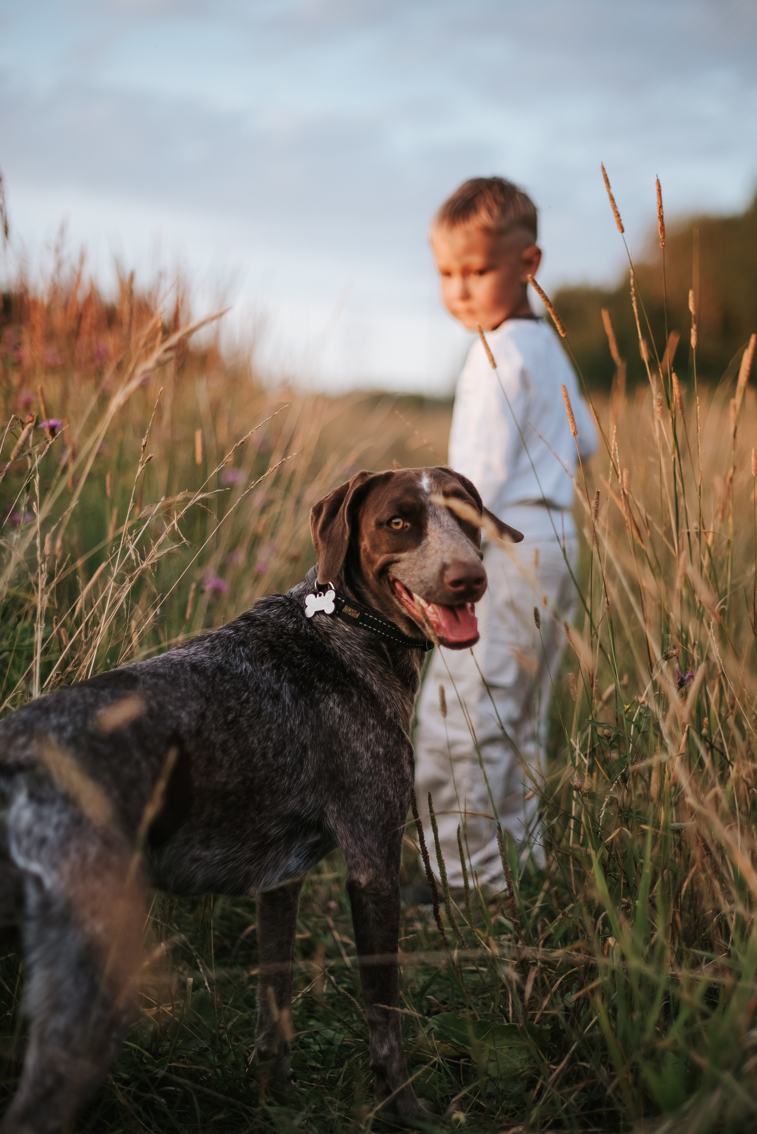 Витя и Кофи. Фотограф-анималист Валерия, Москва, Мытищи