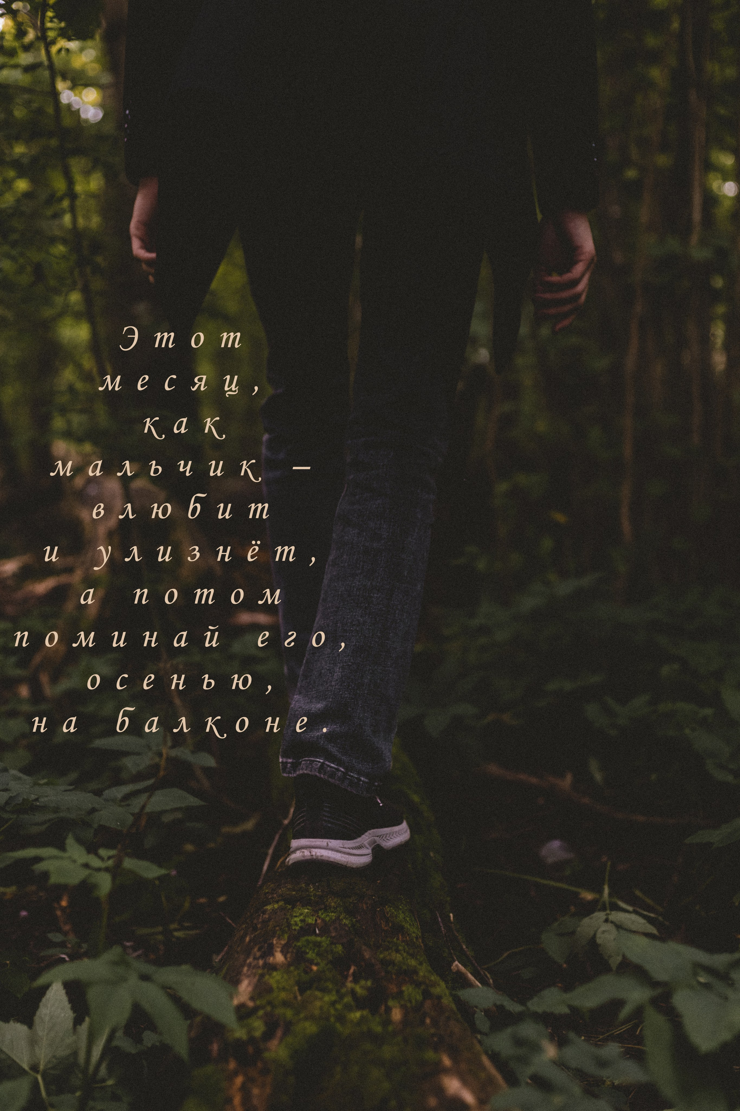 Август. Портфолио