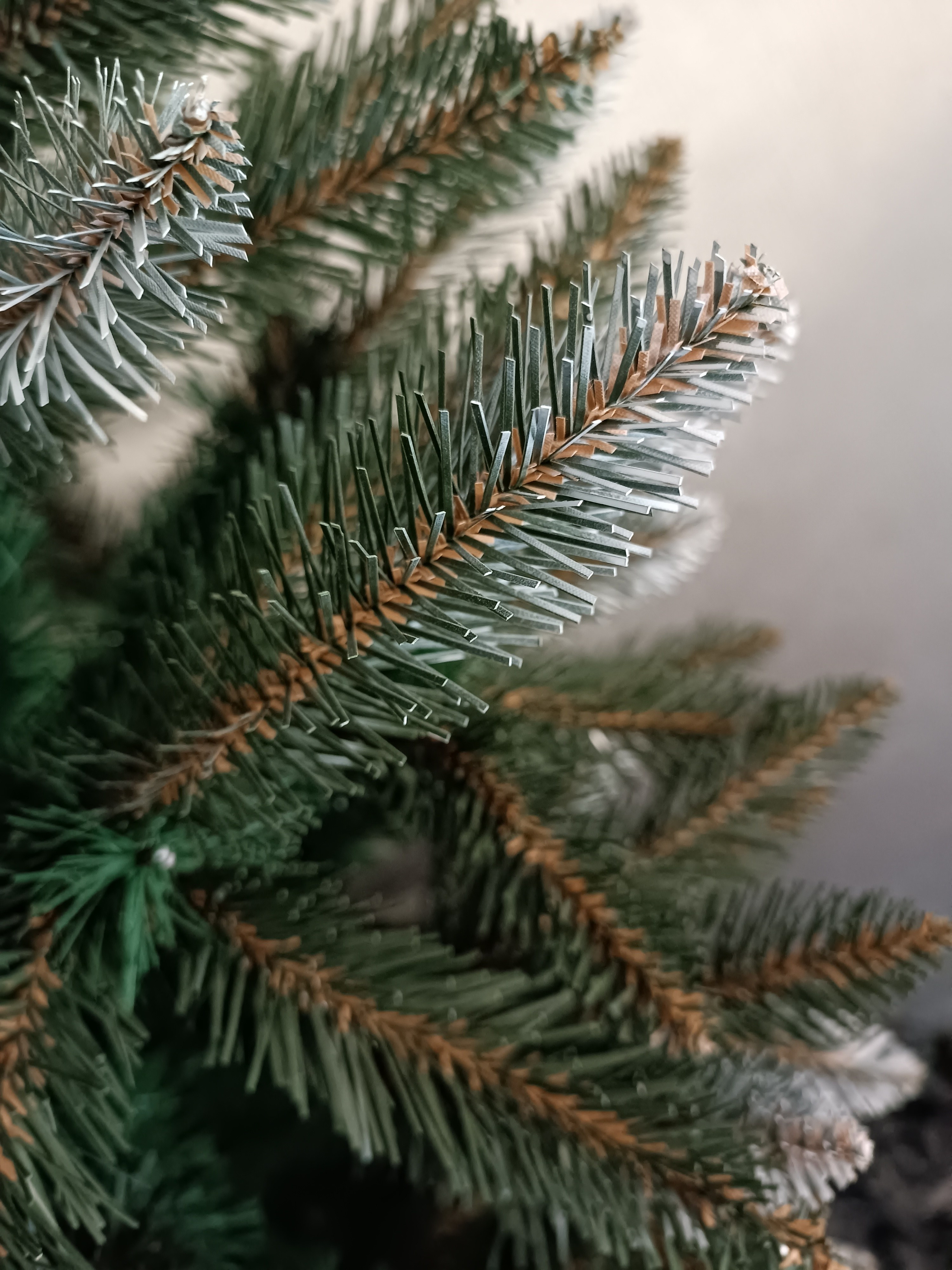 БЕАТРИС. Elki_grodno