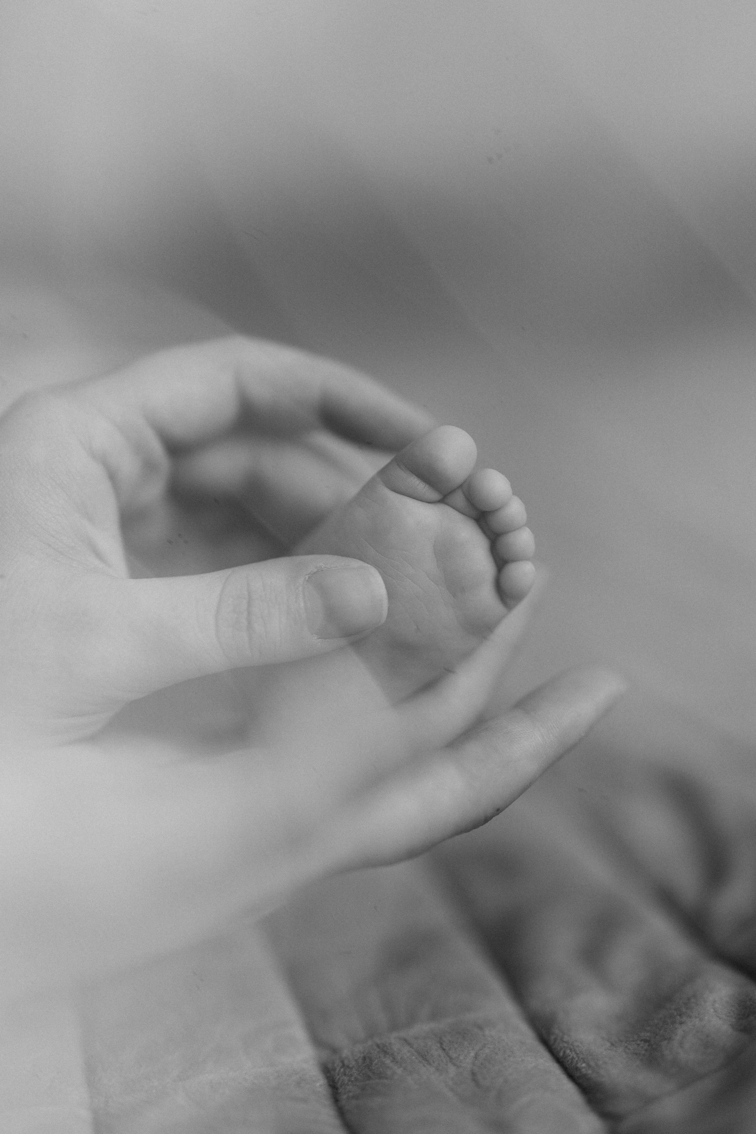 Александр, Екатерина и Дима. Фотограф Королева Елена в Москве