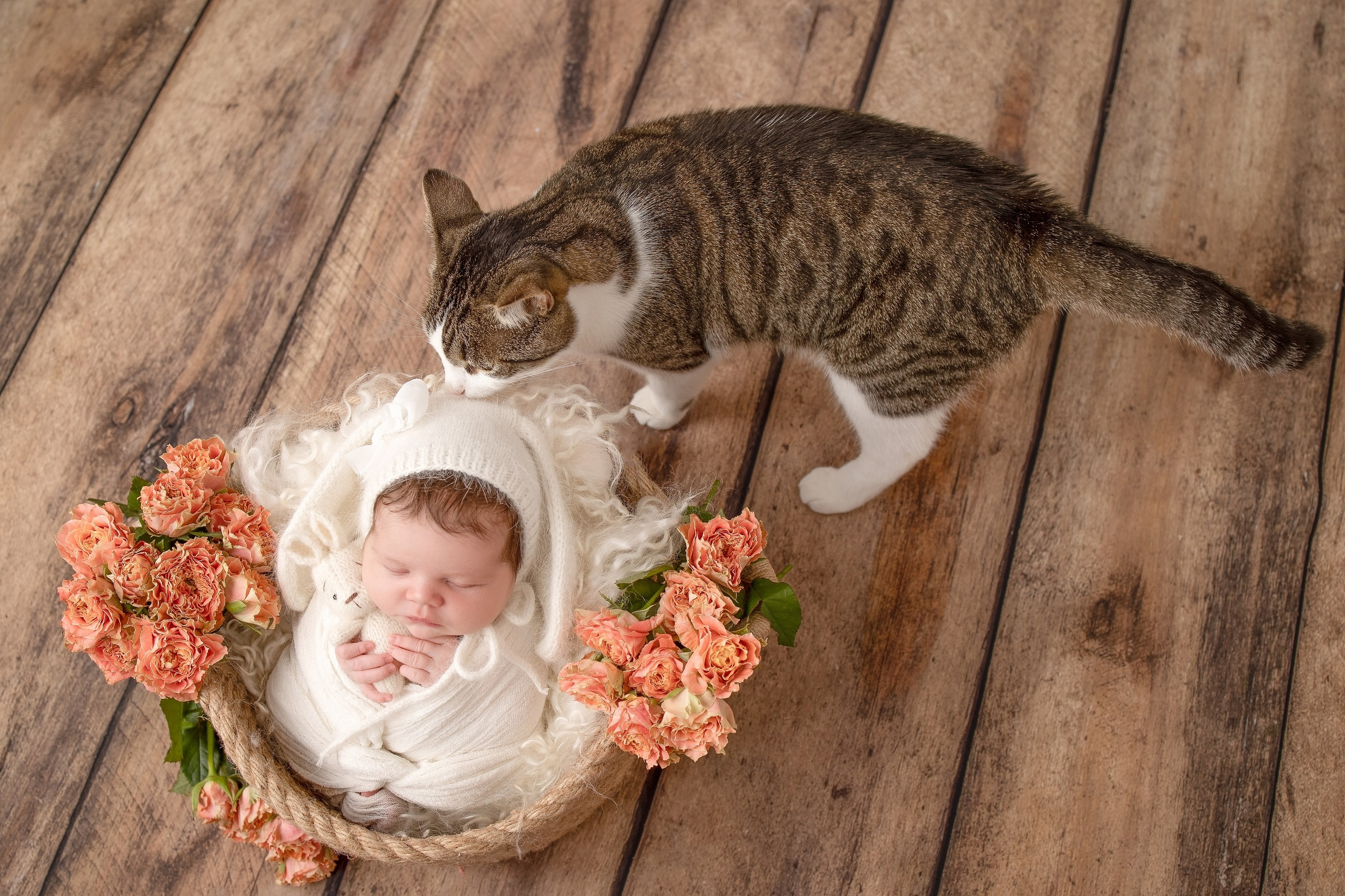 Нежная и милая фотосессия первых дней жизни Вашего ребенка в Минске. Фотограф новорождённых Минск — стоимость newborn фотосессии в Минске