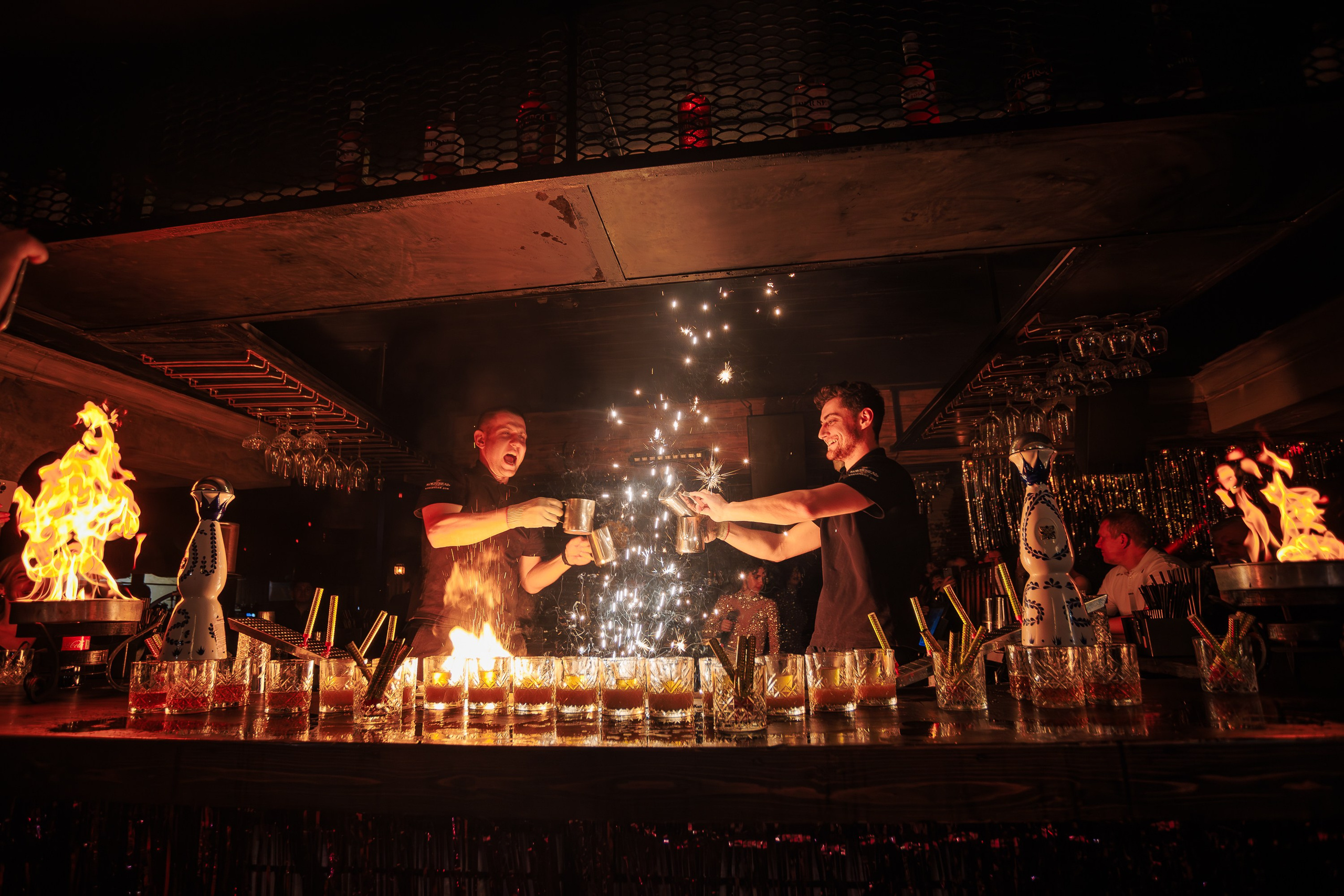 «Magic of BONEY`M «_Чайка на пляже_Ялта_06.12.2025 г. Аминов Руслан | Фотограф