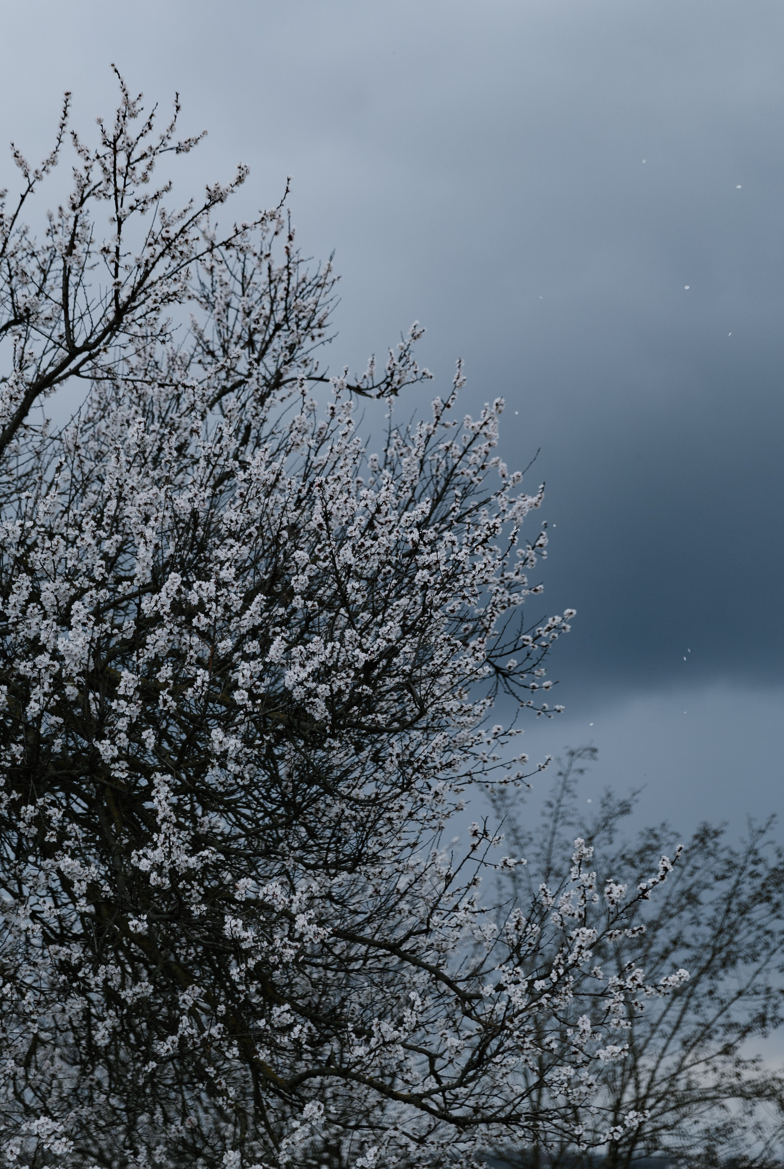 Крещение Анны. Свадебный и семейный фотограф в Таганроге и Ростове Руднева Анастасия