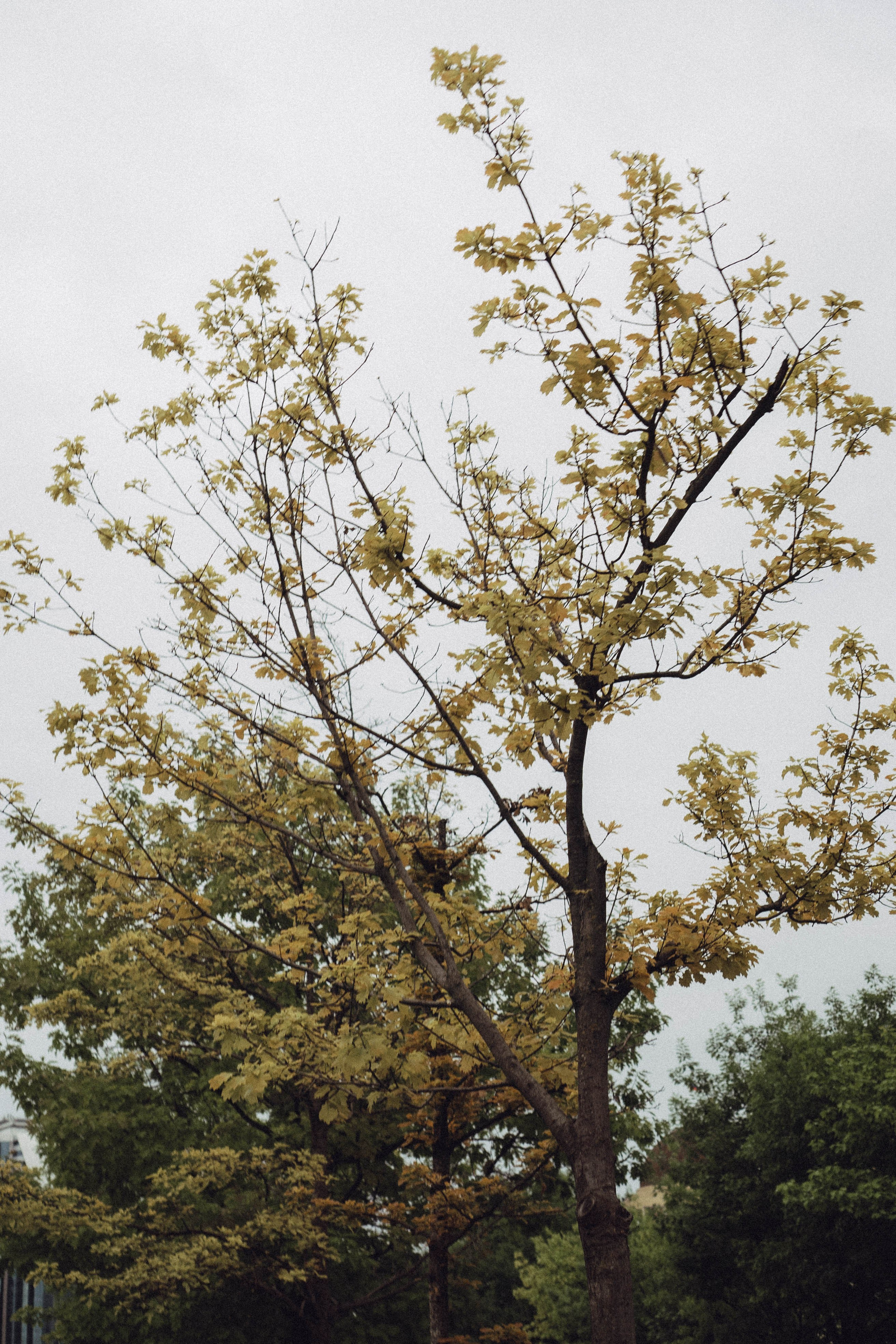 Кавказ. Профессиональный фотограф, Санкт-Петербург — Виктория Богомолова