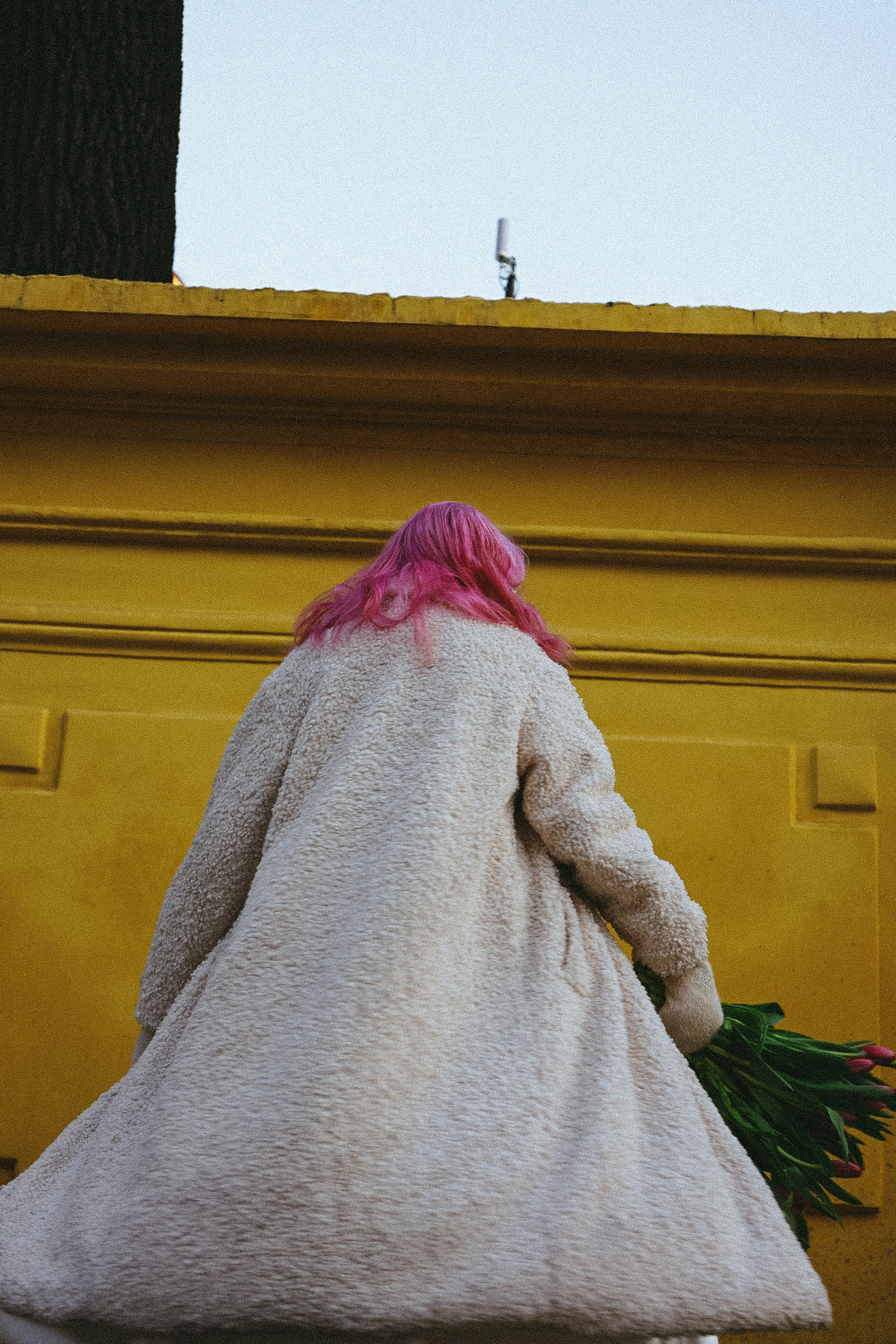 Тюльпаны. Профессиональный фотограф, Санкт-Петербург — Виктория Богомолова