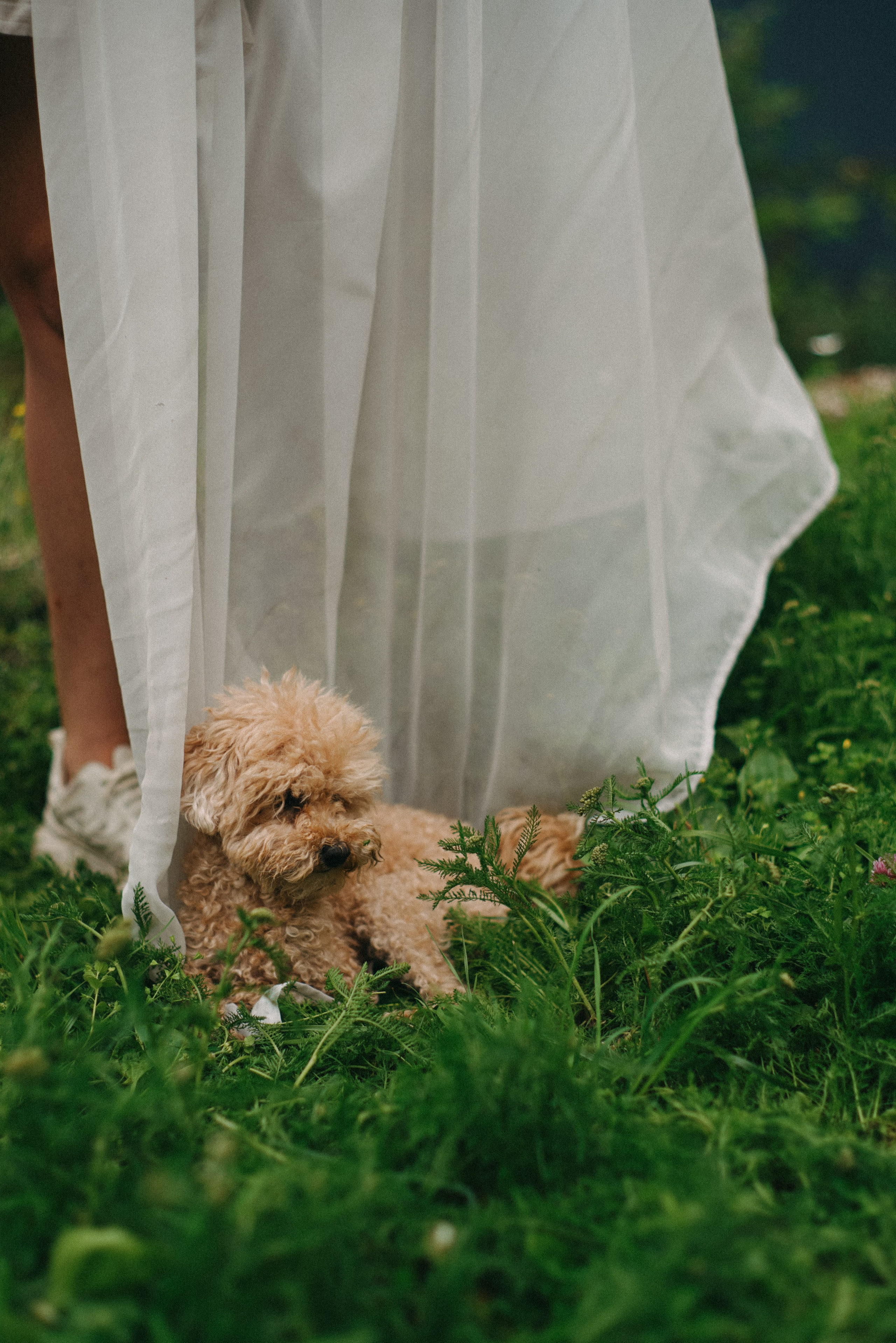 Арина и Настя. Валерия Никишина