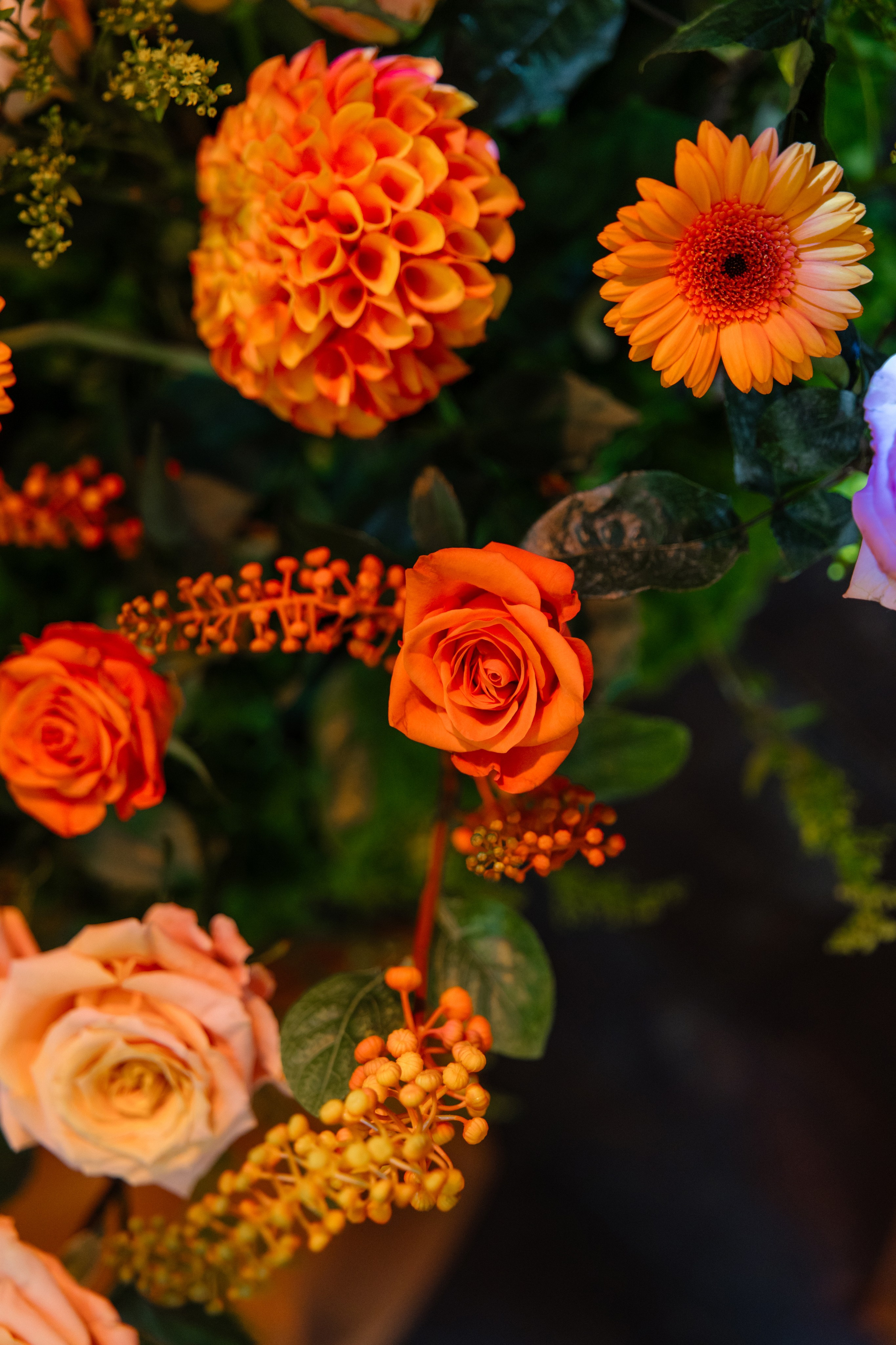 Данил и Даша. Организатор Романова Любовь