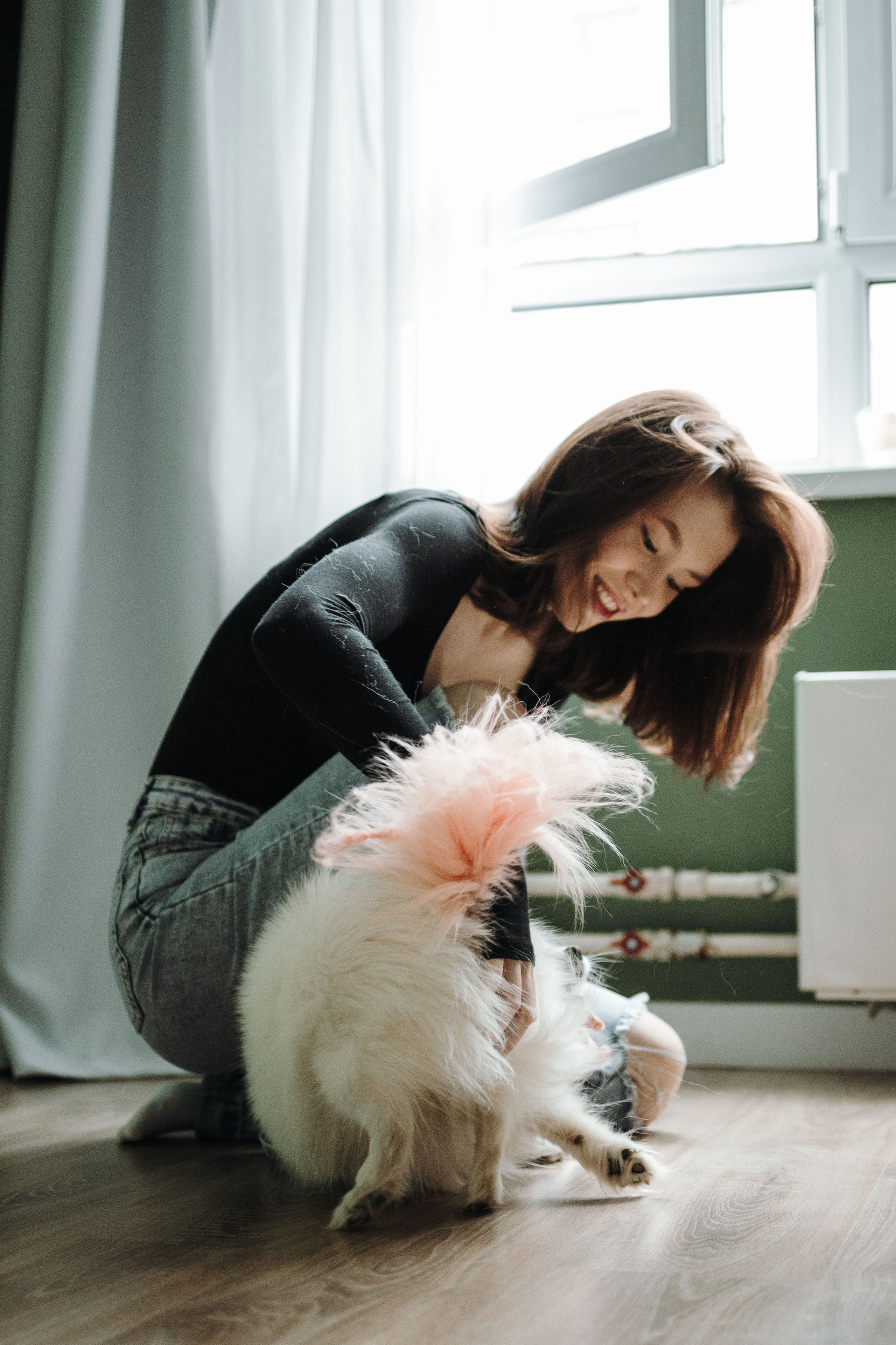 Шпиц Мася и ее семья