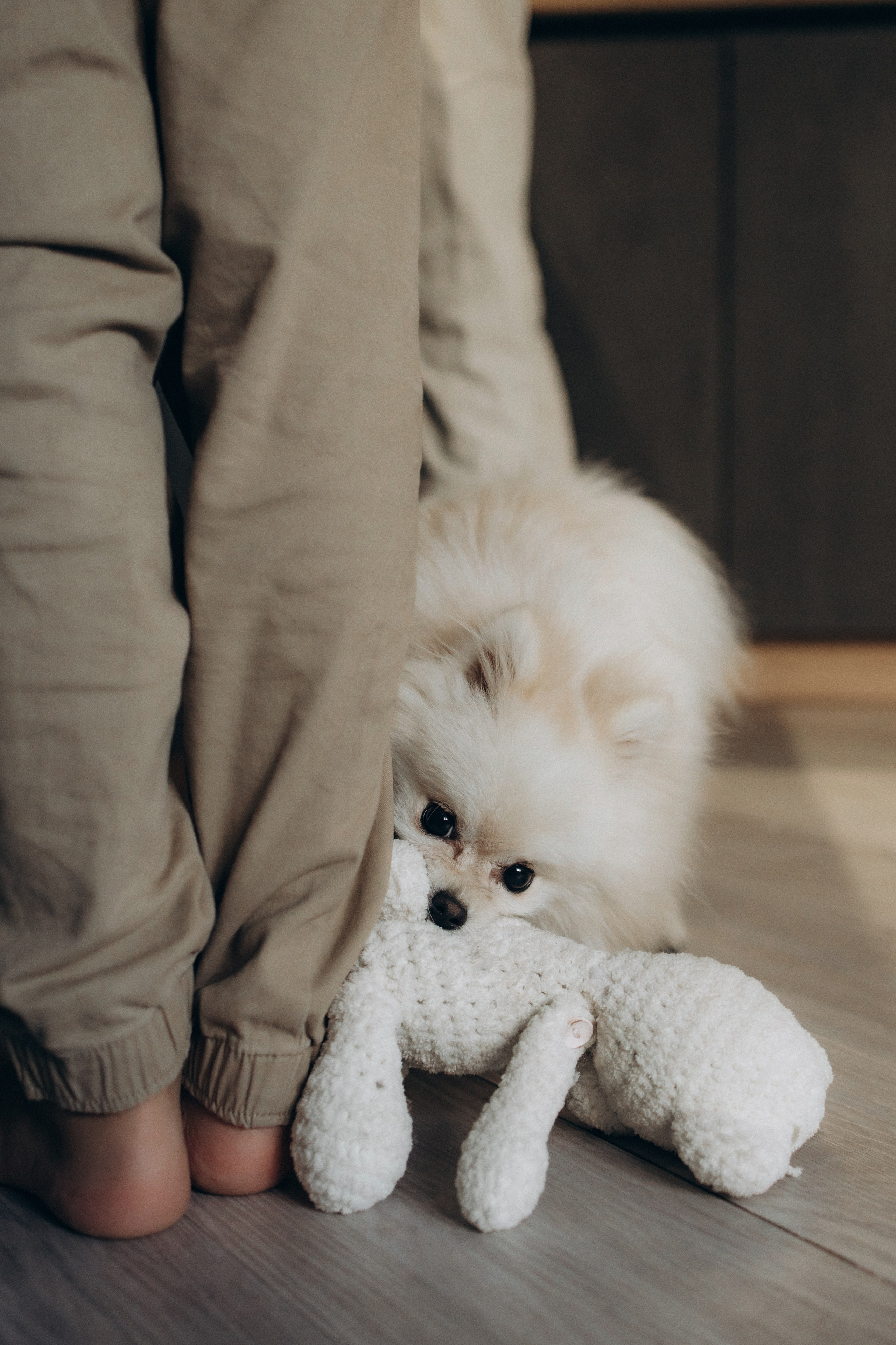 Дом как целая Вселенная. Семейный фотограф и видеограф Донецк/Москва