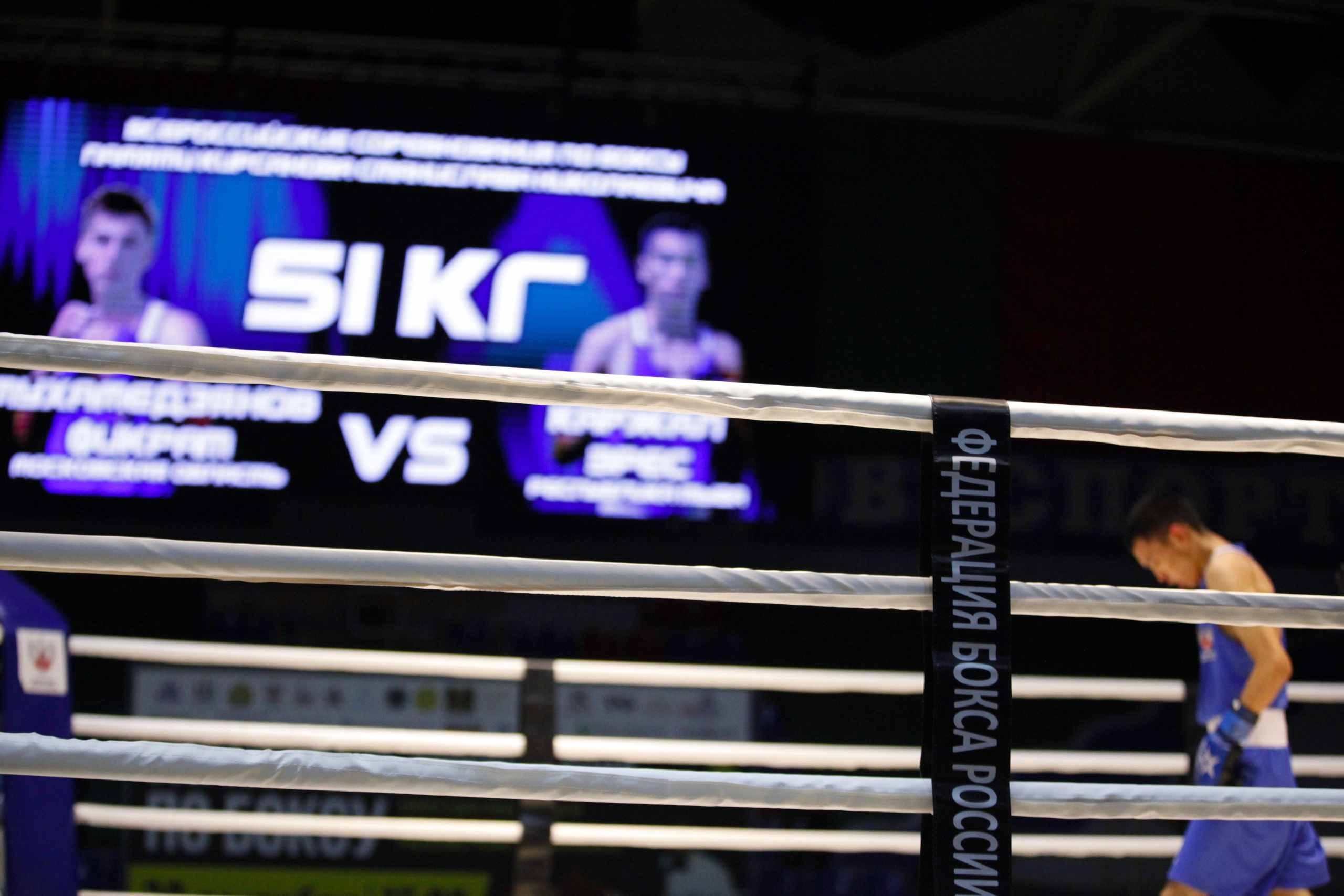 БОКС. Фото. Спортивный фотограф, трансляция, звук и свет в Новосибирске