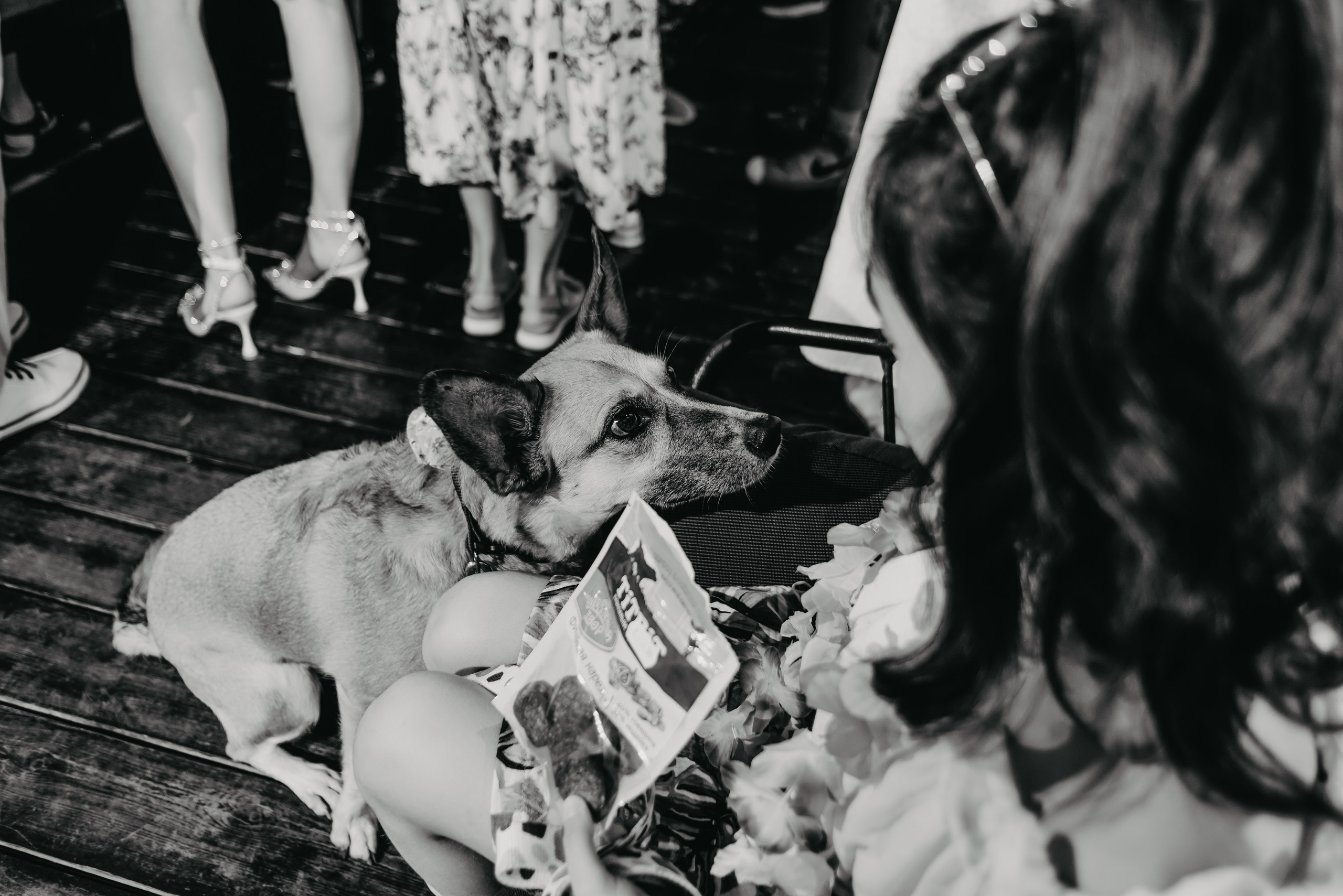 Anton & Yulia. ФОТОГРАФ ИРИНА ШАМАТАВА