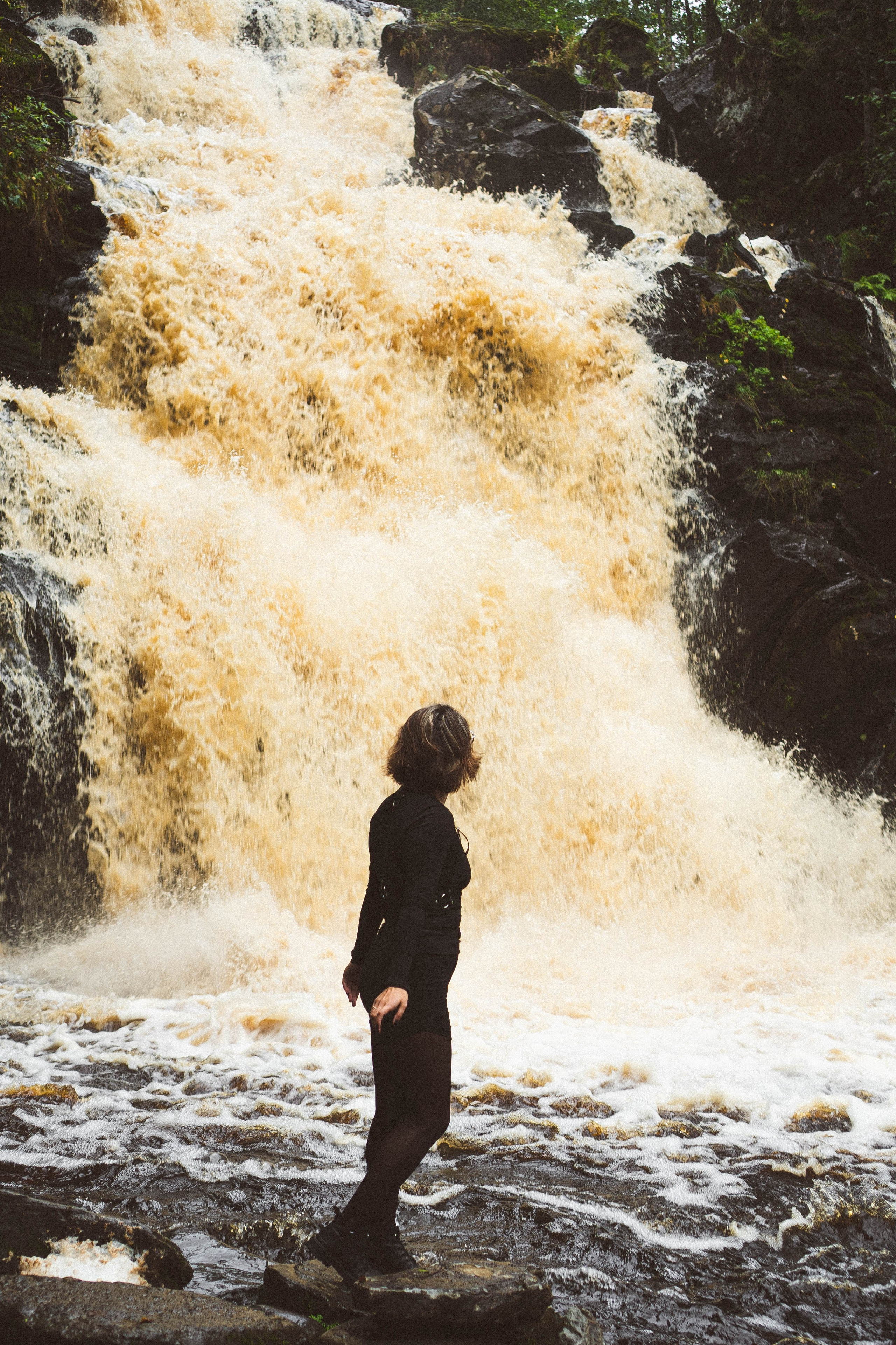 Прогулка на природе. Профессиональный фотограф, Санкт-Петербург — Виктория Богомолова