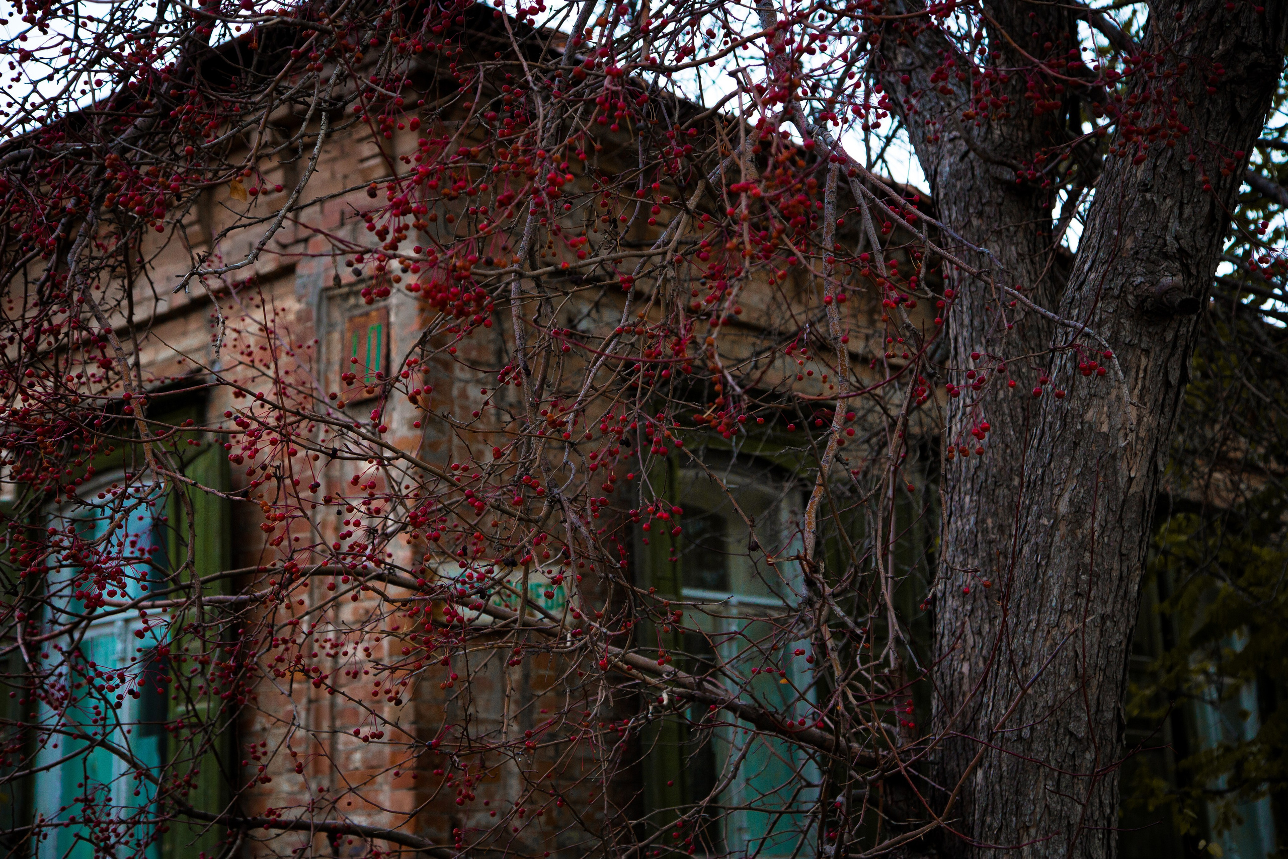 Старый Оренбург. Ваш фотограф в Оренбурге Рощупкина Екатерина