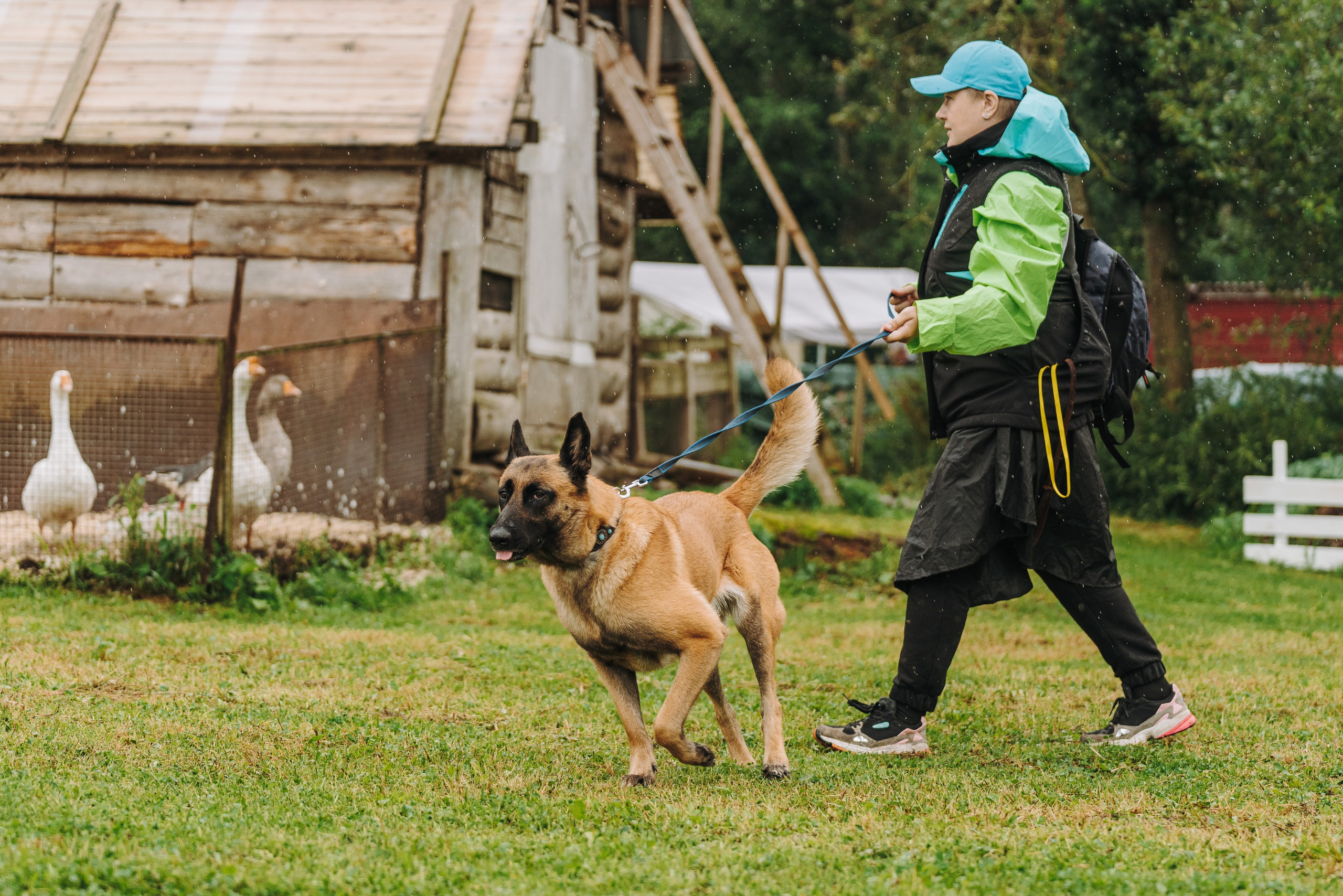 Соревнования по ноузворку в Новожилово. Фотограф анималист в Спб недорого Олеся Майорова