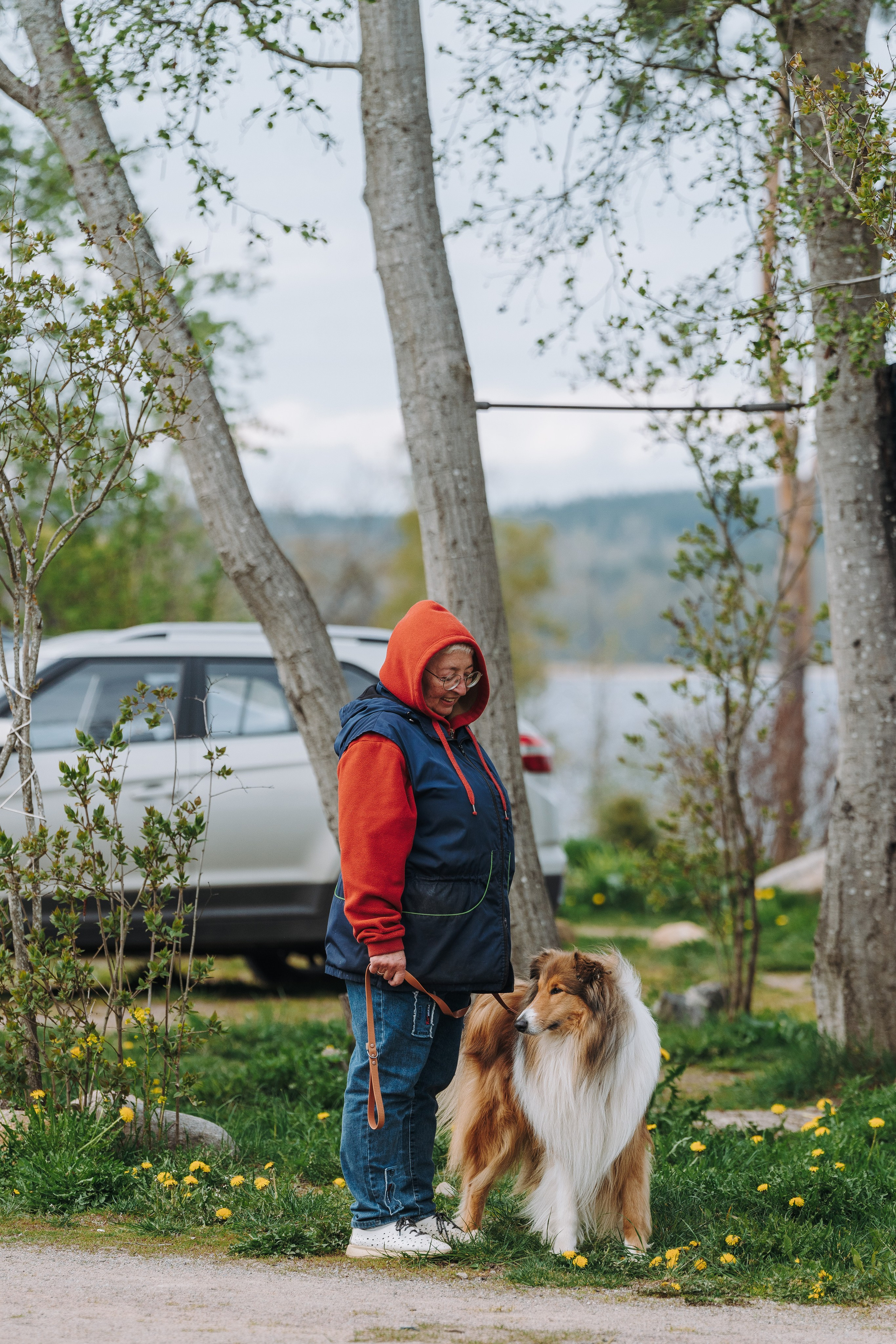 Соревнования по ноузворку в Лосево. Фотограф анималист в Спб недорого Олеся Майорова