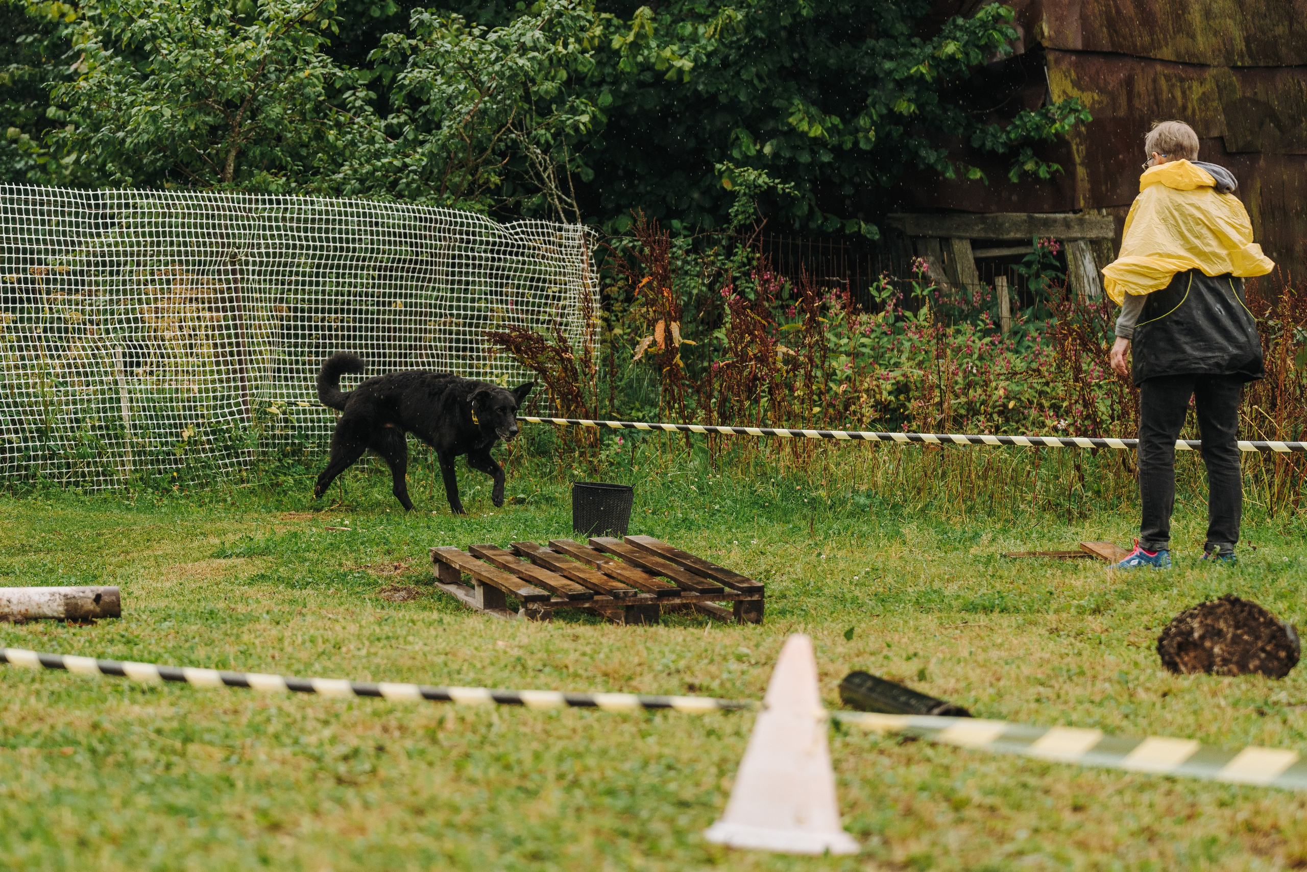 Соревнования по ноузворку в Новожилово. Фотограф анималист в Спб недорого Олеся Майорова