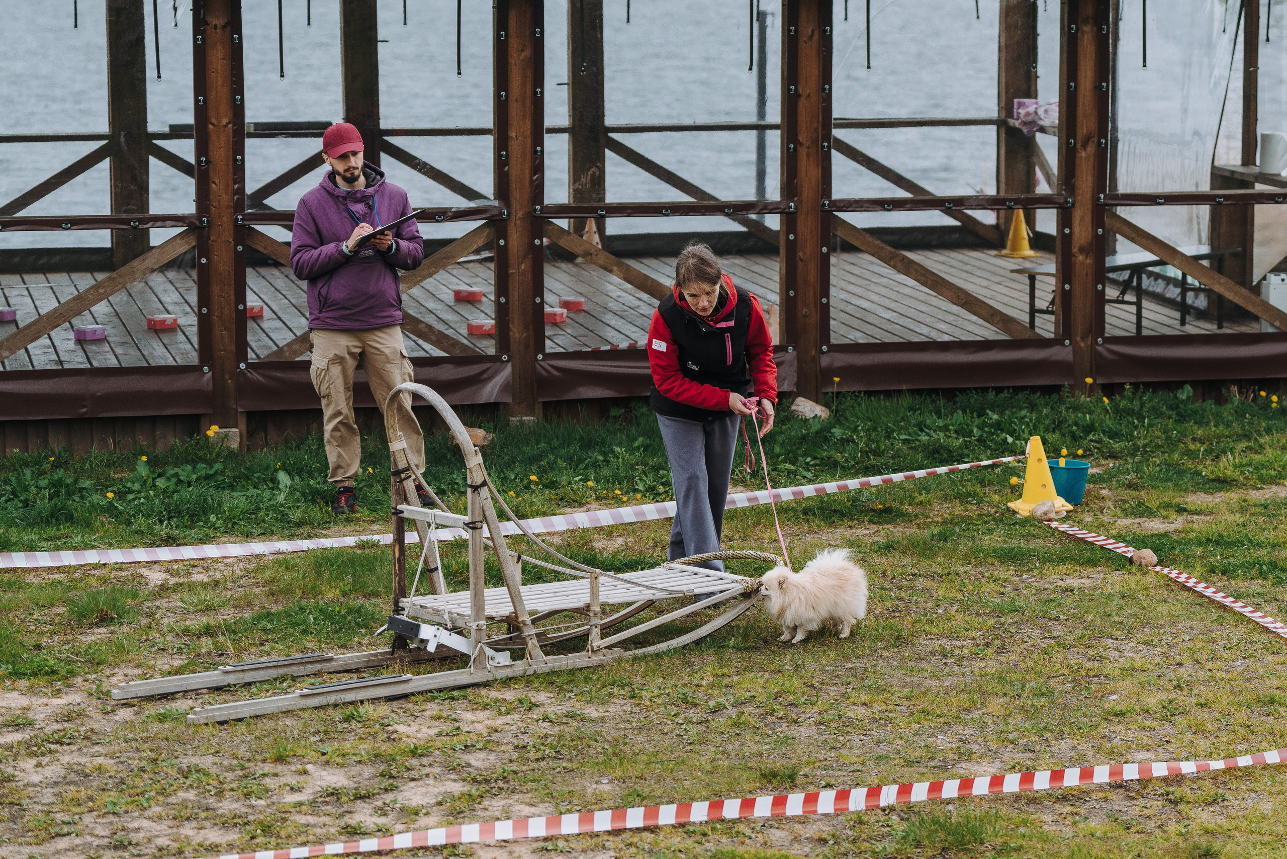 Соревнования по ноузворку в Лосево. Фотограф анималист в Спб недорого Олеся Майорова