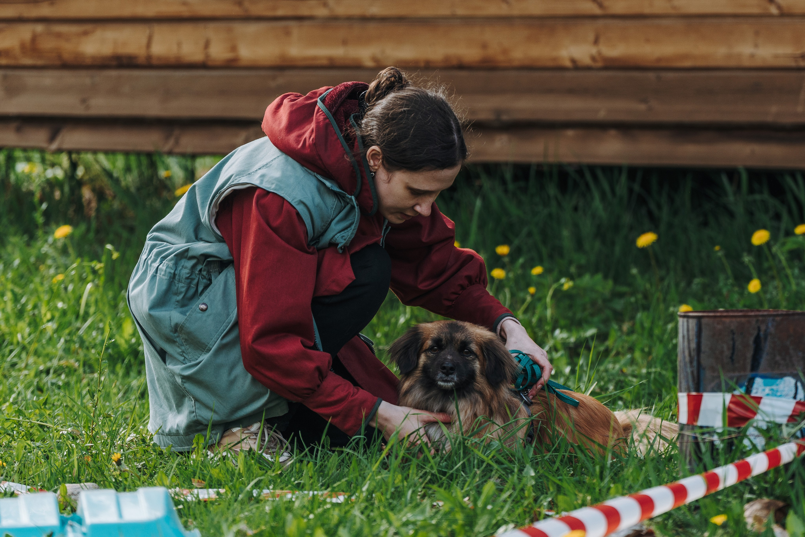 Соревнования по ноузворку в Лосево. Фотограф анималист в Спб недорого Олеся Майорова