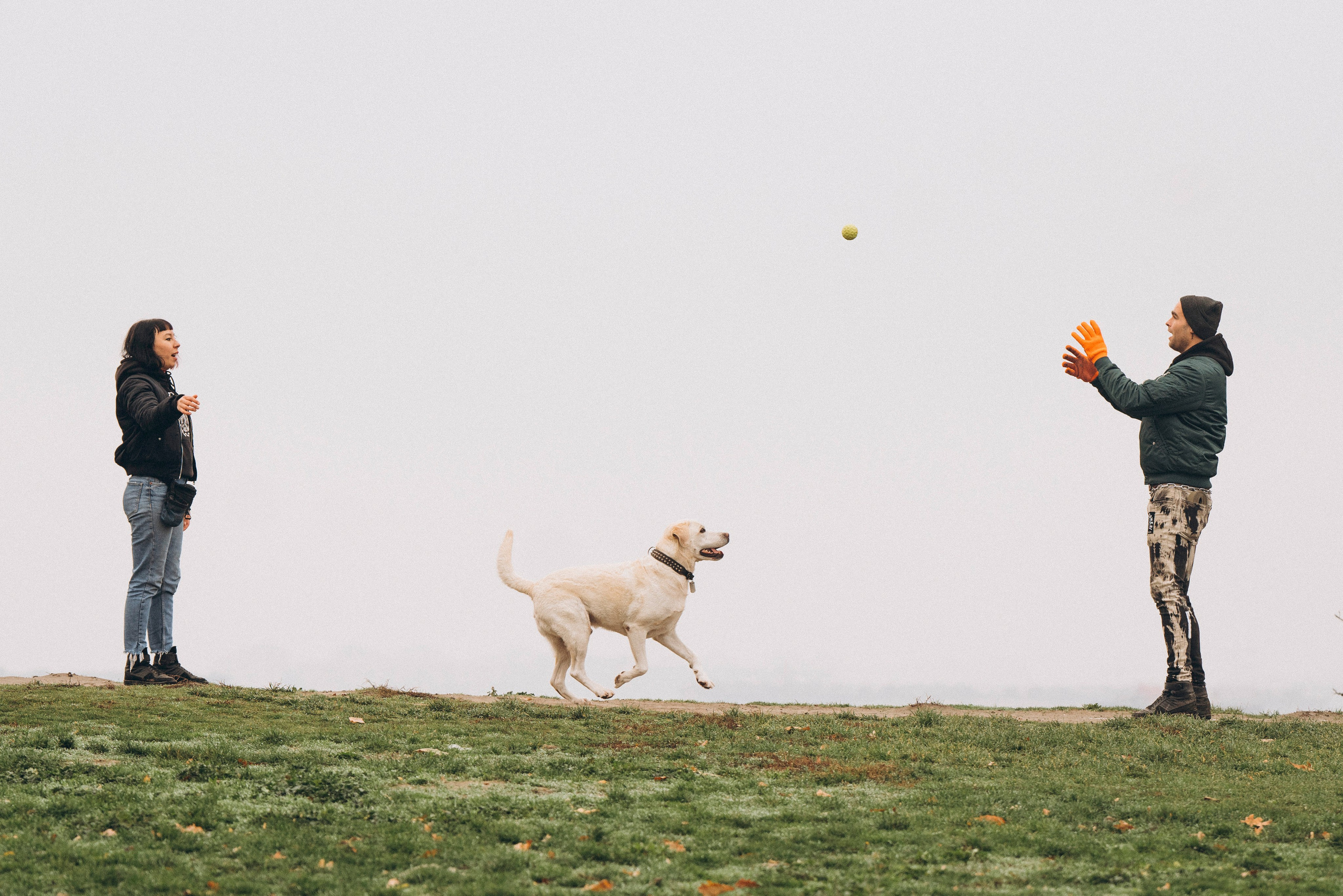 Вати, Лена и Леван. Фотограф анималист в Спб недорого Олеся Майорова