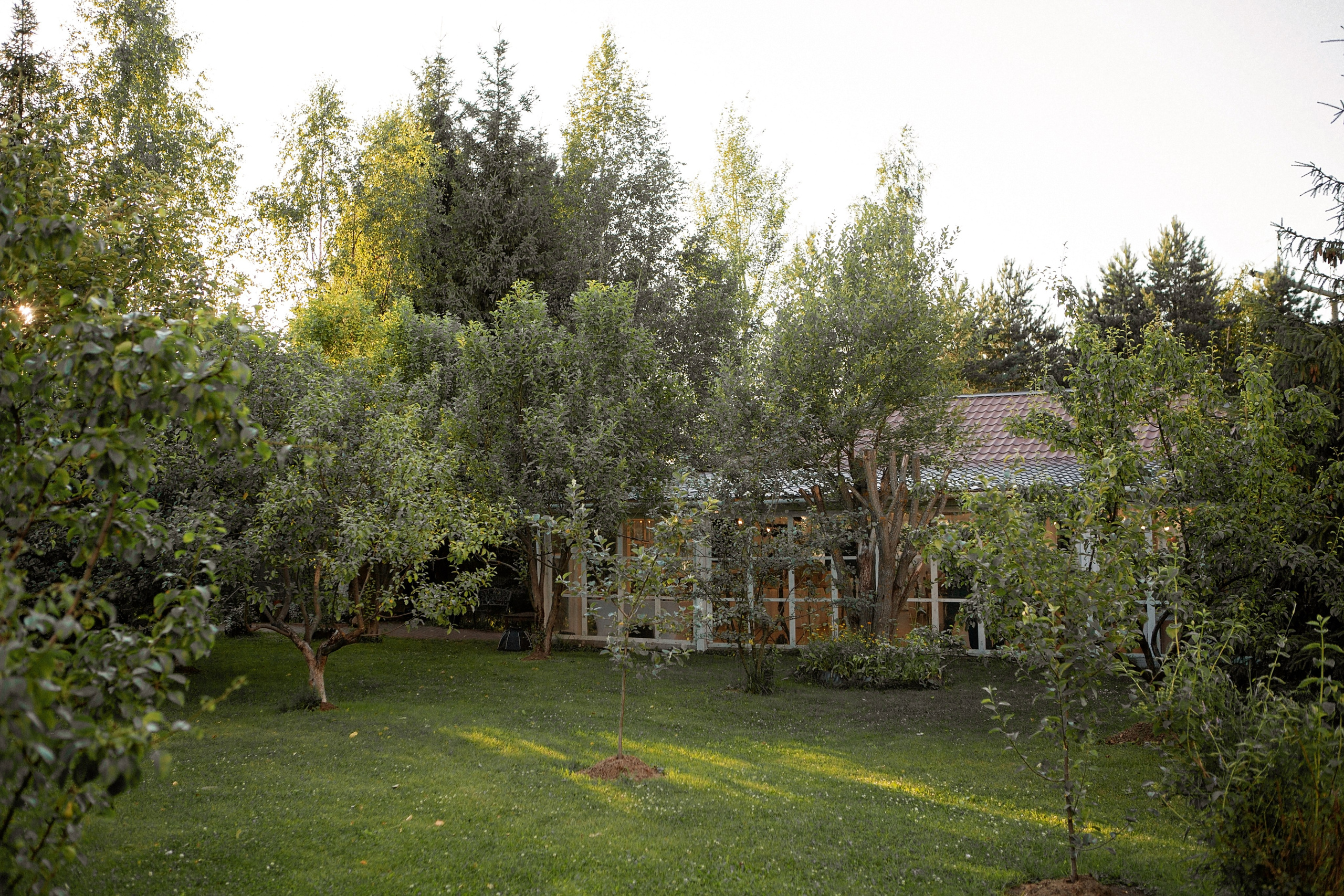 Площадка № 3-8. Свадебный и портретный фотограф Москва