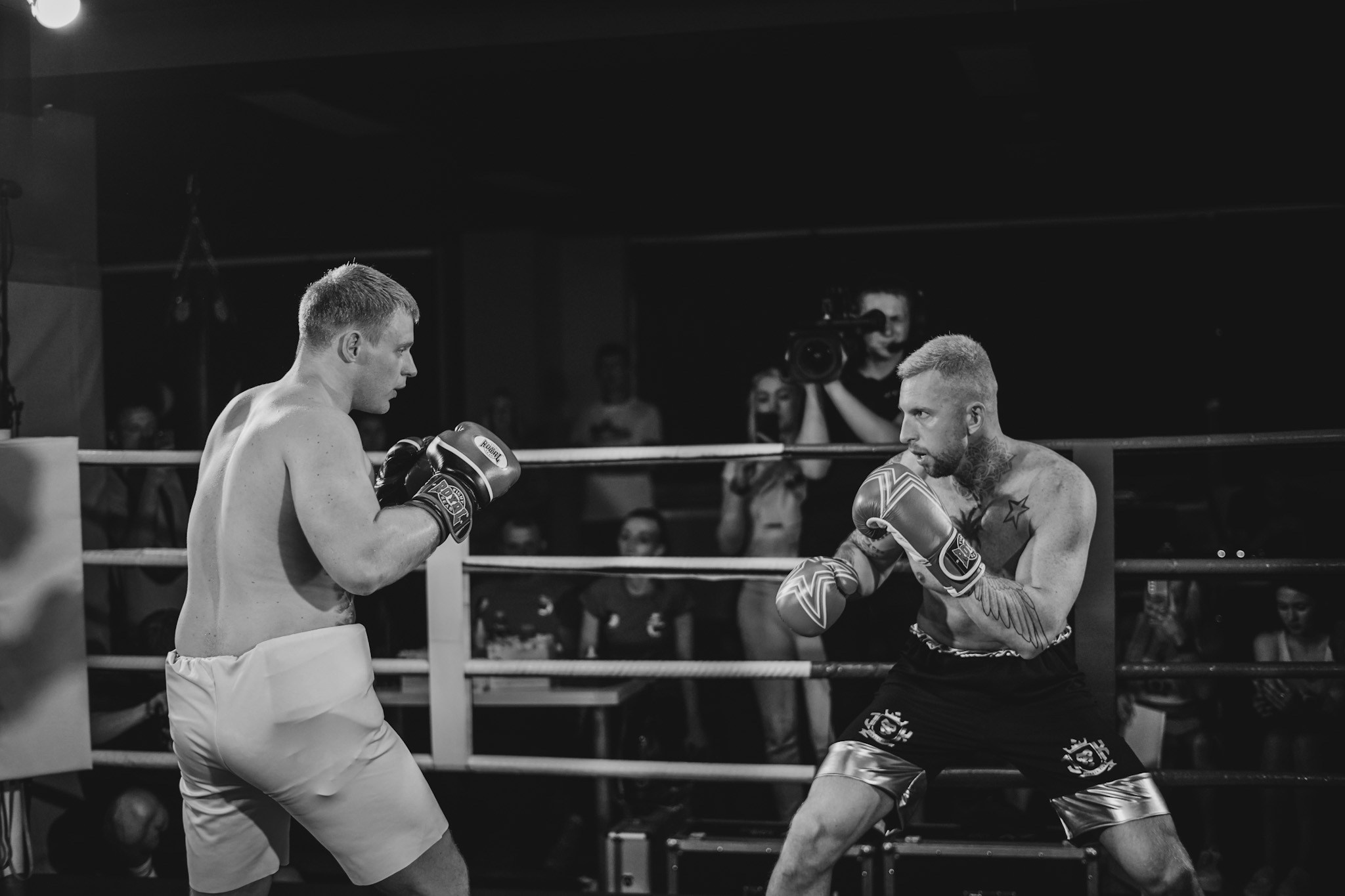 Галерея. Beardy Pix