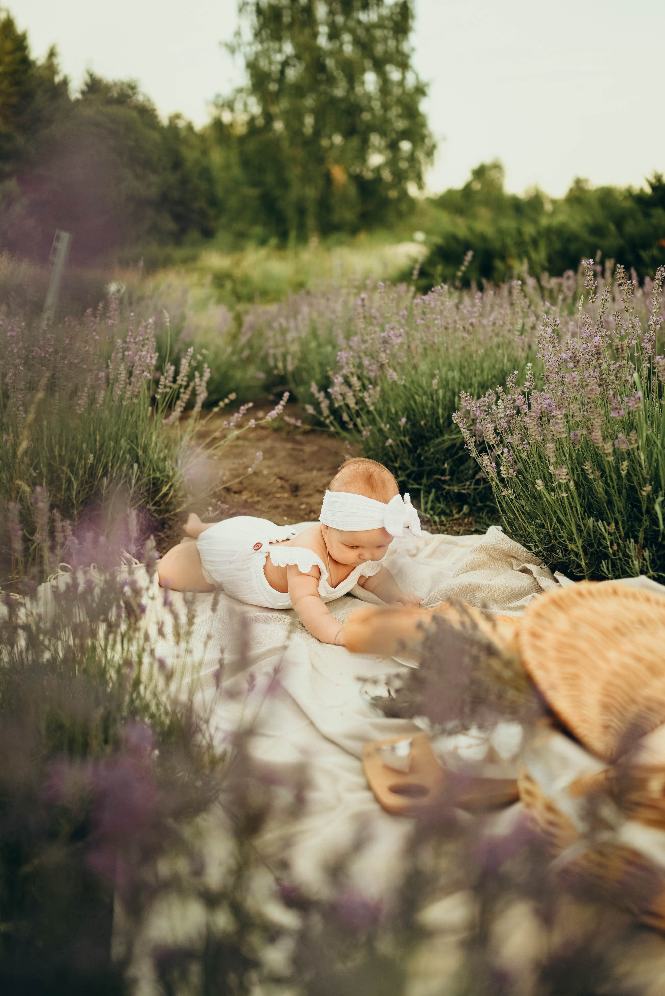 Лавандовая история в бот.саду Воронежа. Семейный фотограф в Москве Люберцах Ирина Вронская